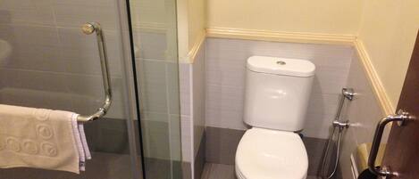 A bathroom with a glass shower enclosure, a white toilet, and a grab bar.