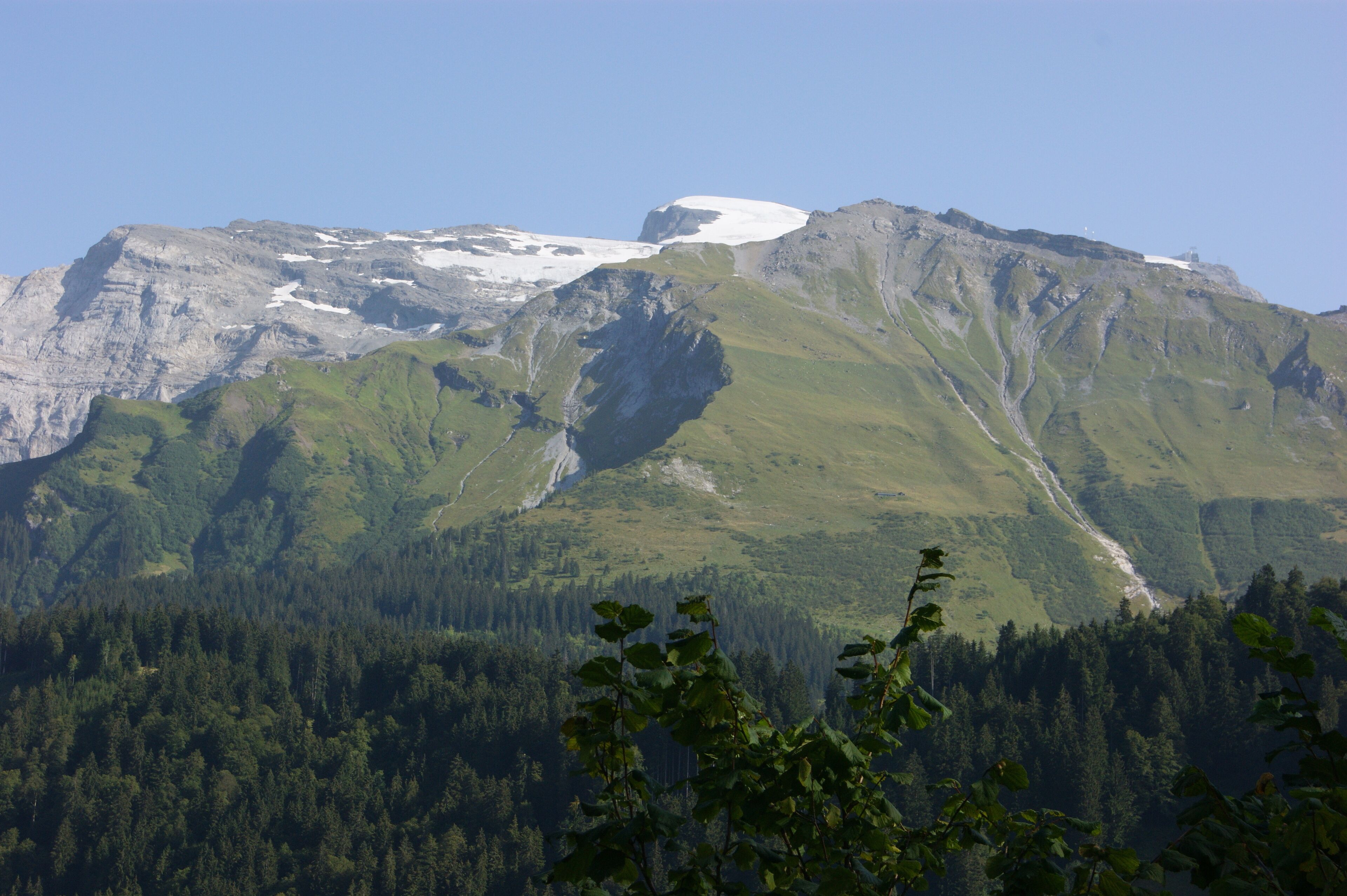 A mountain with a snow-capped peak, dense forest at the base, and a clear sky.