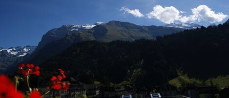 Paisaje montañoso con picos nevados y un cielo azul despejado.