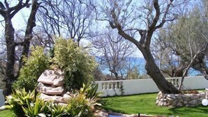 Un jardín con un pequeño estanque, rocas y diversas plantas.