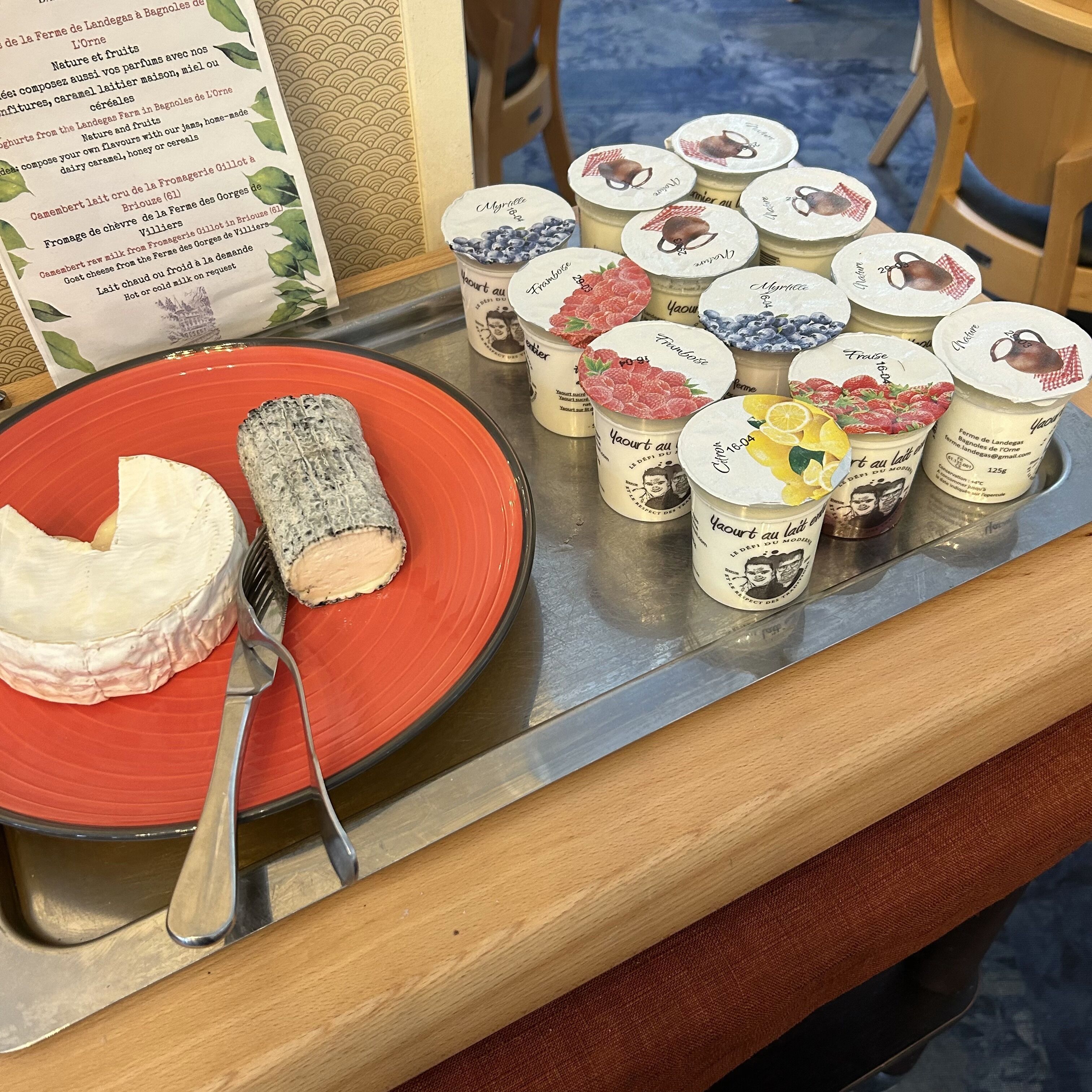 A selection of dairy products, including cheese and yogurt, on a metal counter with a red plate and a fork.