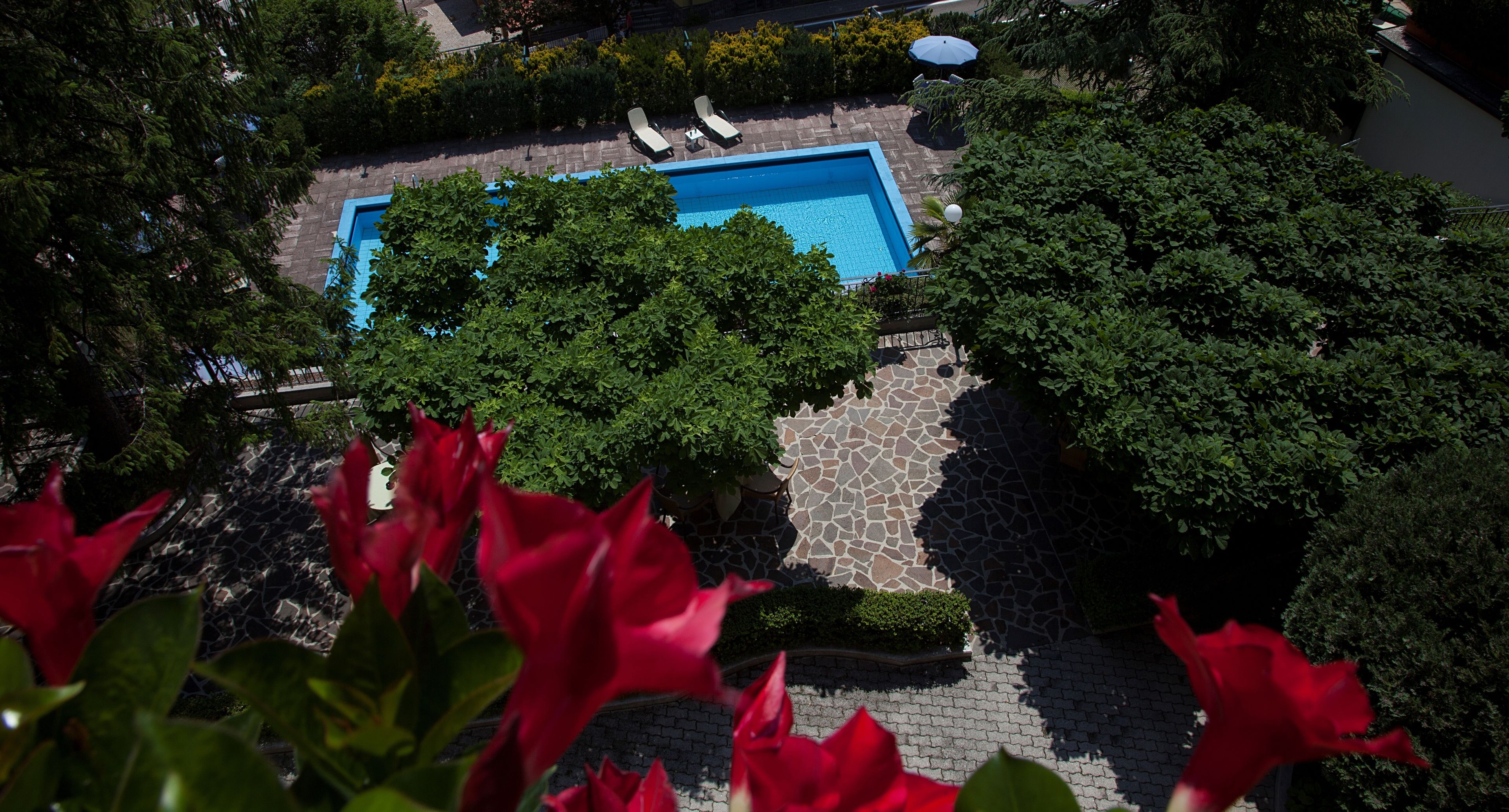 Piscina no terraço, com água azul, cercada por vegetação e caminhos de pedra.