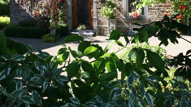 Property grounds - Le Tapis Rouge (Vielsalm)