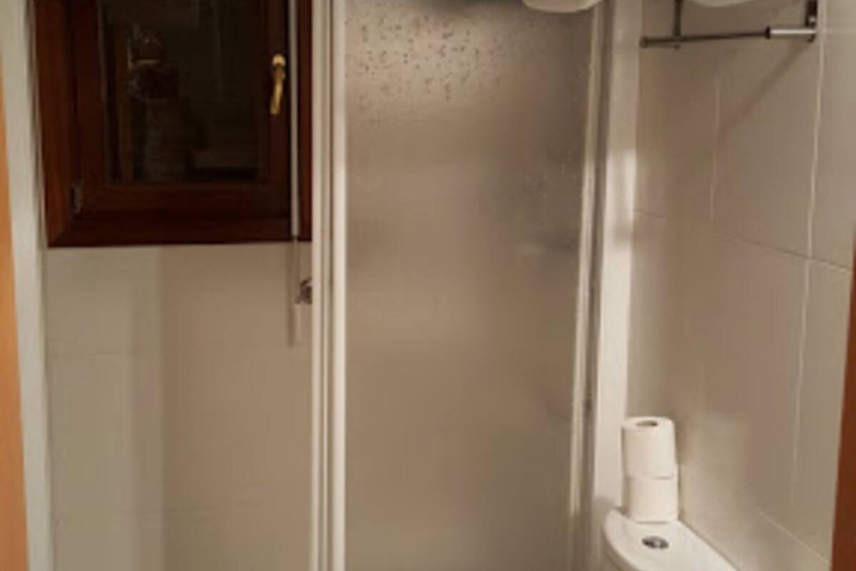 bidet, towels, toilet paper