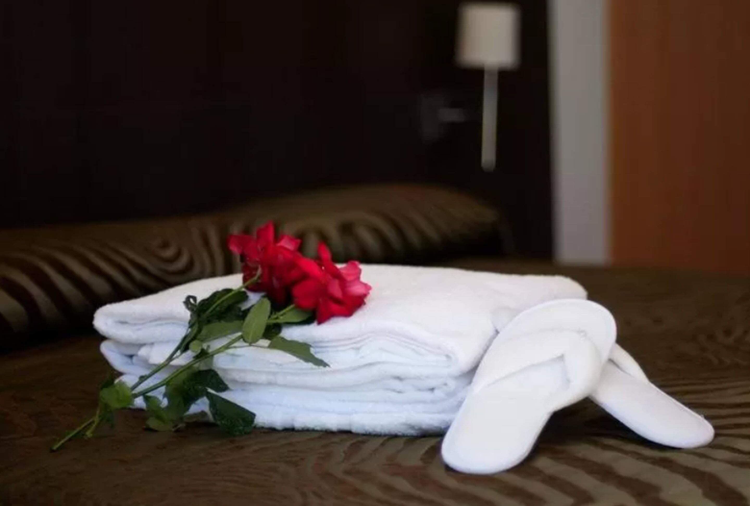 studio (2 people) | down duvets, rollaway beds, free wifi, bed sheets