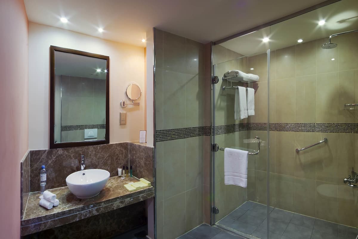 Premium bedding, minibar, in-room safe, individually furnished