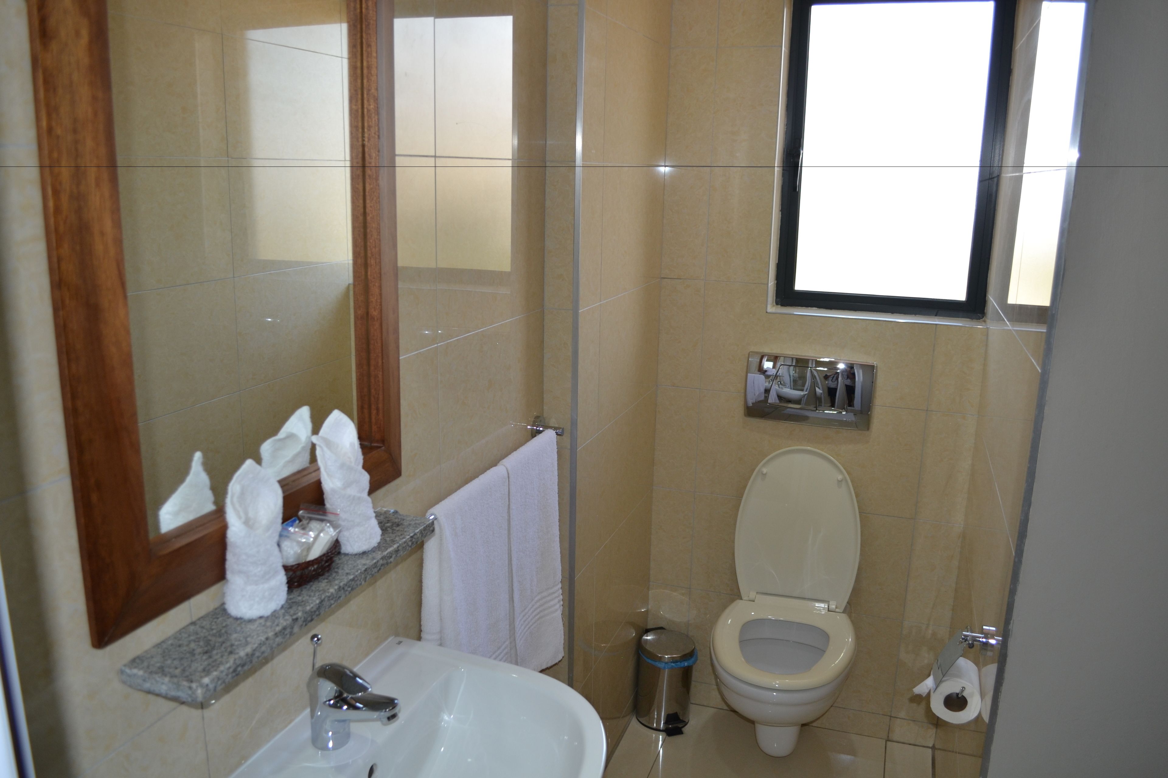 standard double room, 1 queen bed, city view | bathroom | shower, free toiletries, hair dryer