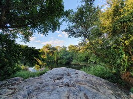Paisagem natural com rio, vegetação densa e uma grande rocha em primeiro plano.