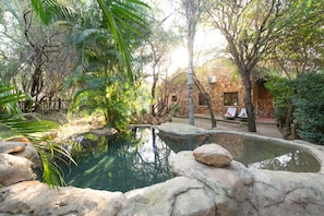 3 piscinas al aire libre, tumbonas