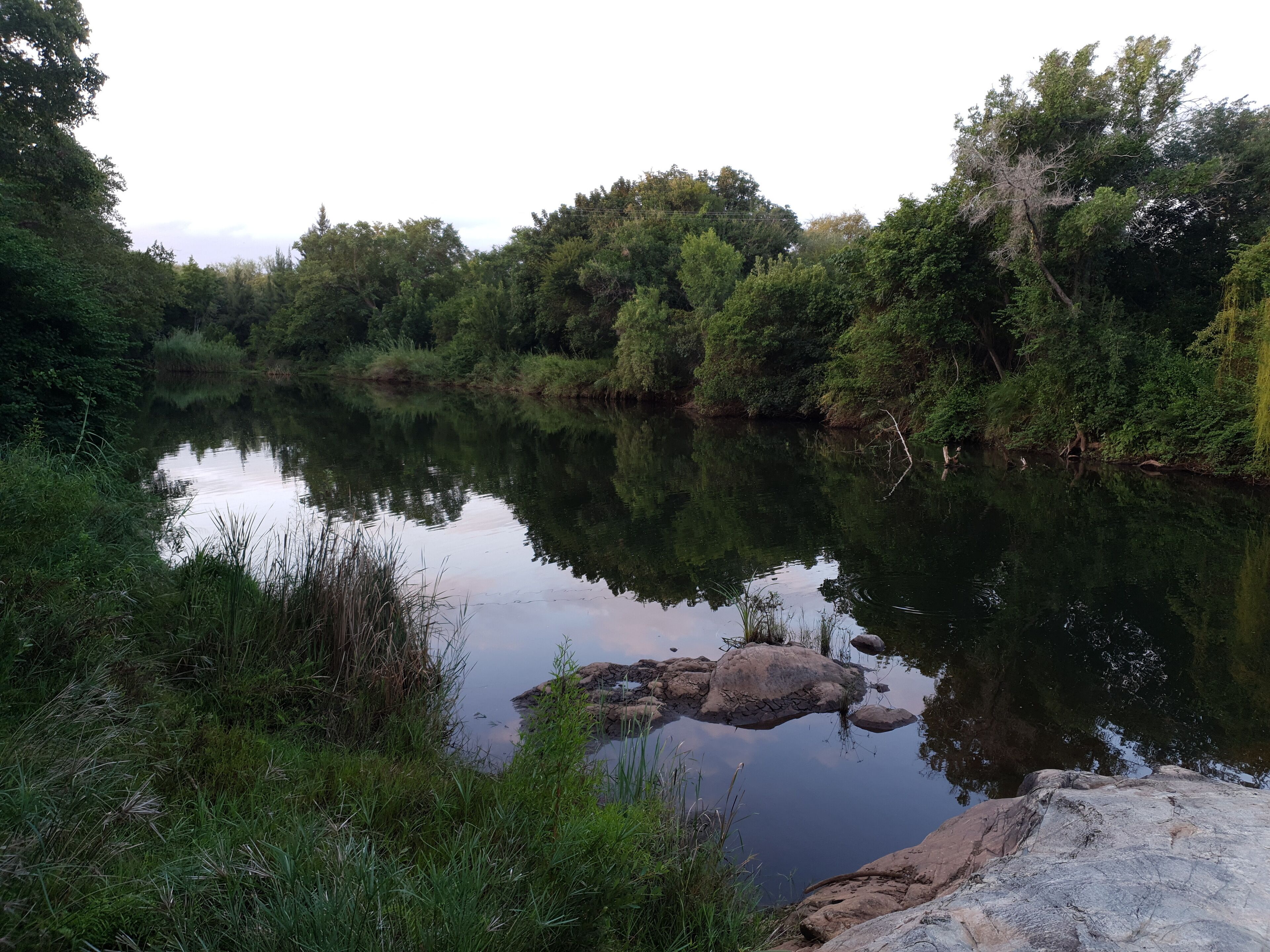 A calm river with dense greenery and rocks in the foreground.