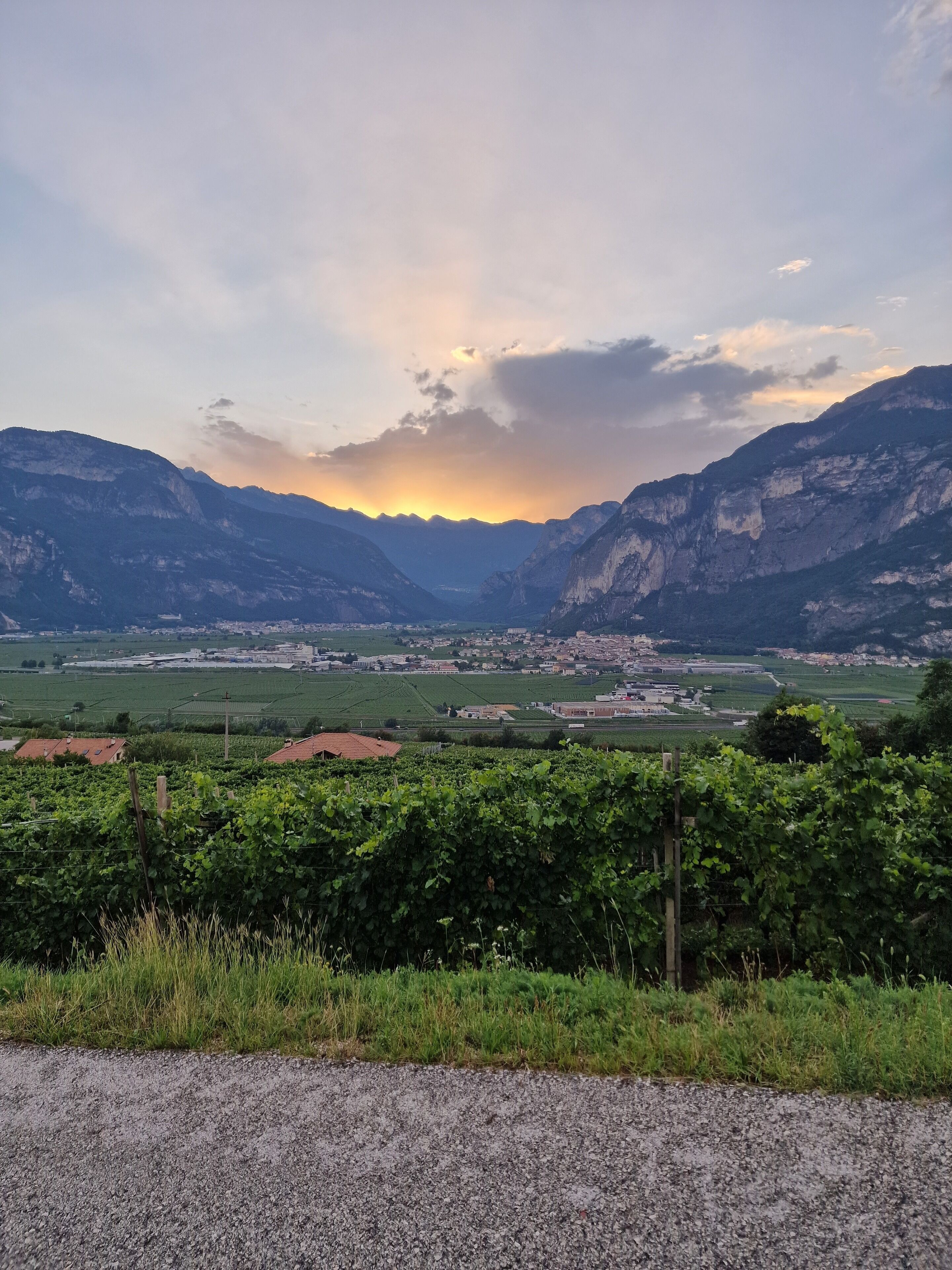 Eine gebirgige Landschaft mit Weinbergen im Vordergrund und einer Stadt im Tal darunter.