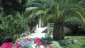 Ein Garten mit einer Palme, verschiedenen Sträuchern und Blumen.