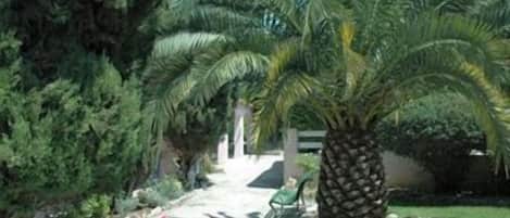Un jardín con una palmera, arbustos y flores.