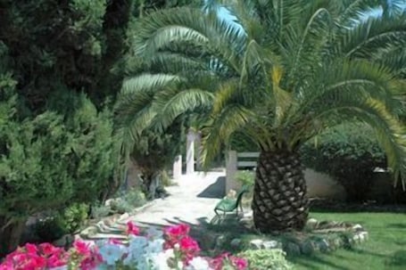 Garden. Hôtel les Liserons de Mougins