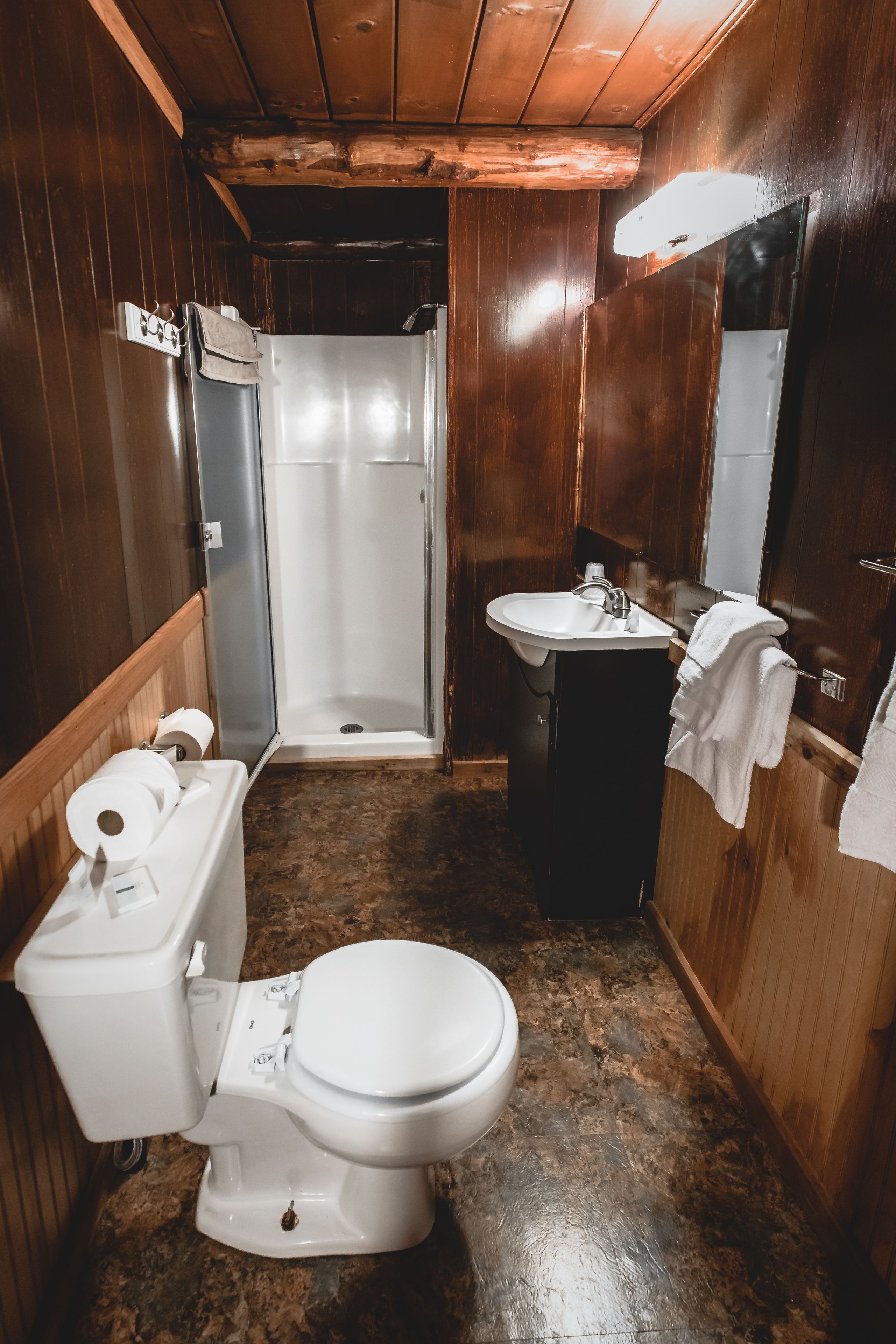Une salle de bain avec des toilettes, un lavabo et une douche.