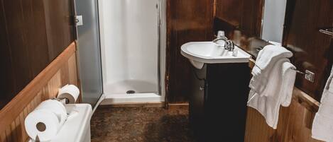 Une salle de bain avec des toilettes, un lavabo et une douche.
