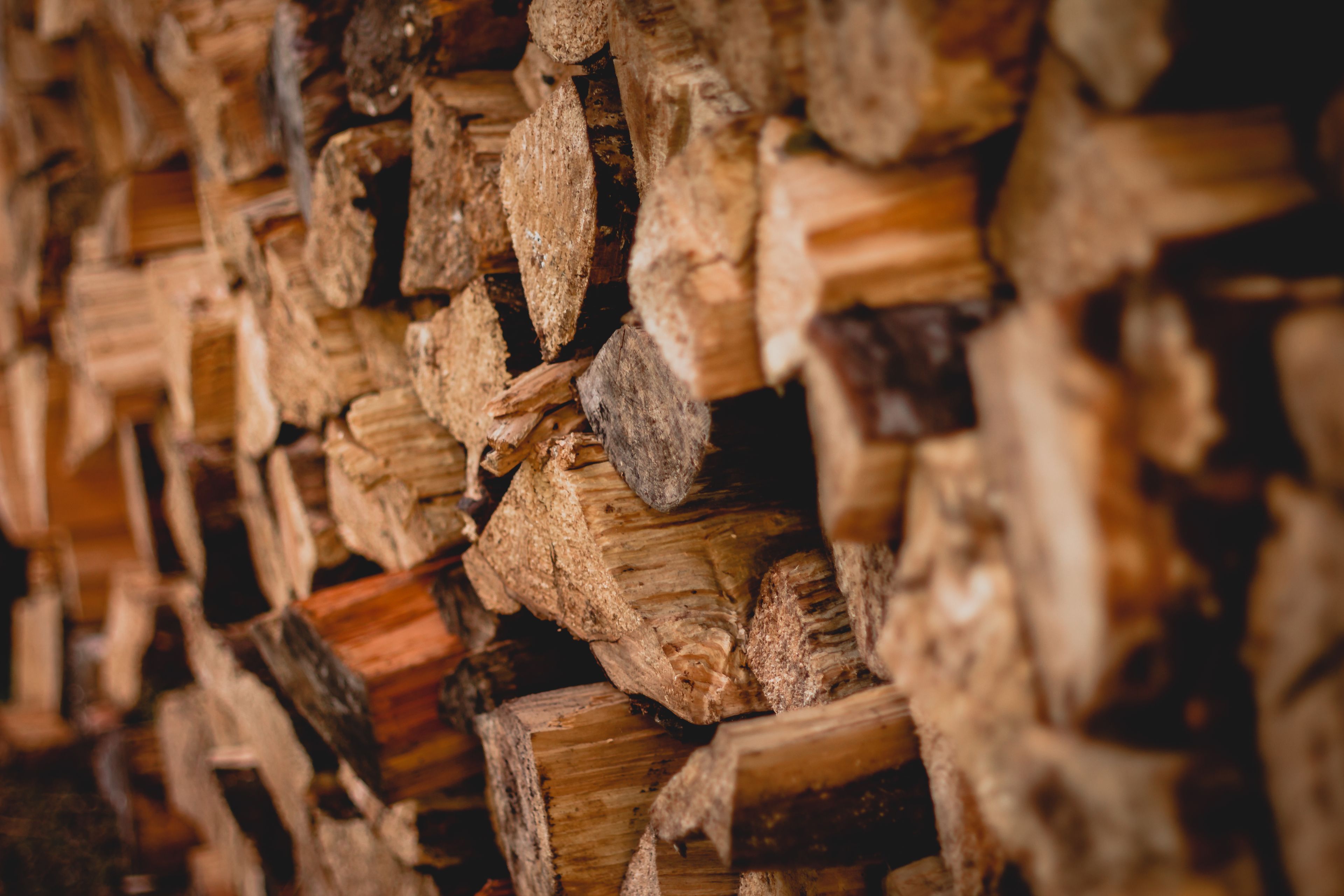 A close-up of stacked firewood.