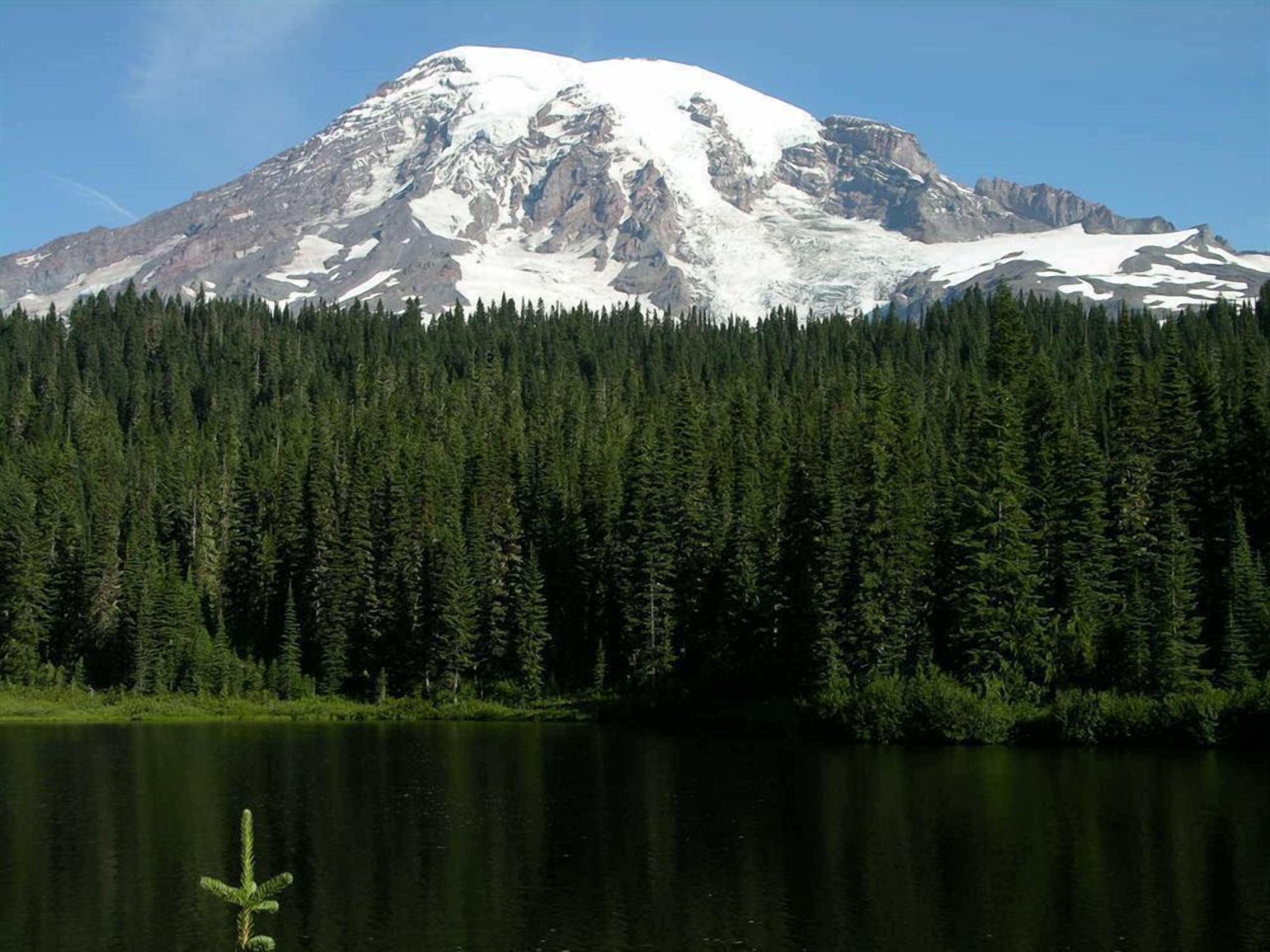 A mountain with snow-covered peaks and a dense forest in the foreground.