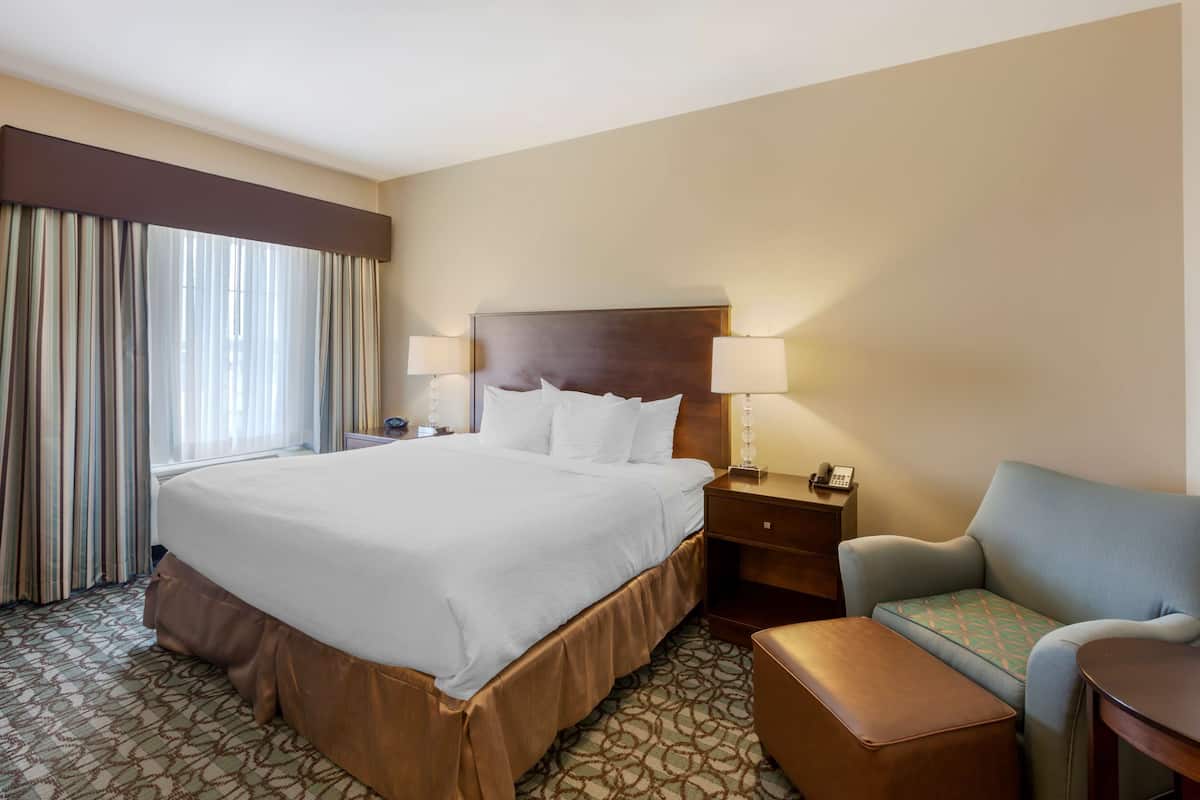 Standard Room, 1 King Bed, Non Smoking, Refrigerator & Microwave (Pet Friendly) | Egyptian cotton sheets, premium bedding, pillow-top beds, desk