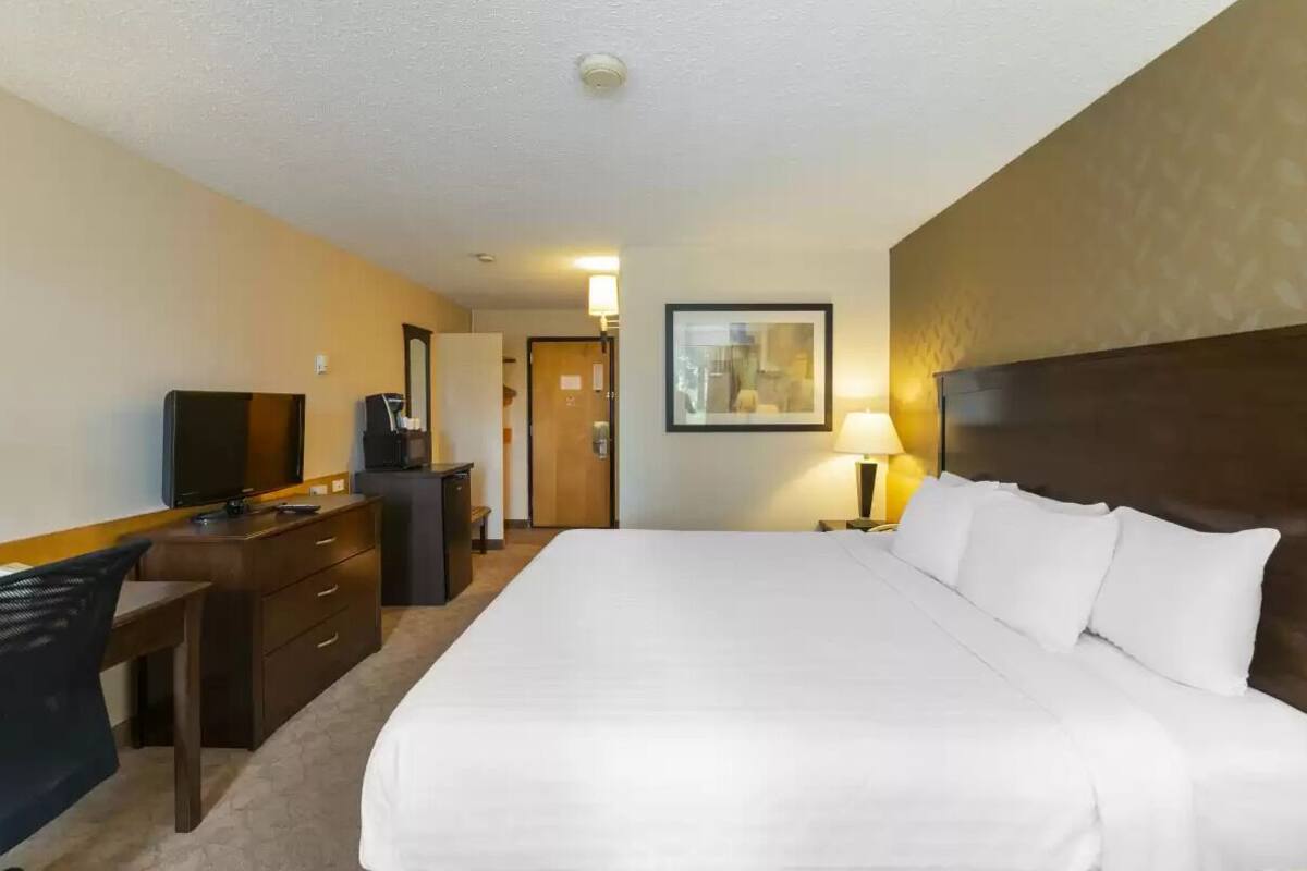 Quarto de hotel com uma cama grande, uma escrivaninha com cadeira, televisão, abajur e um quadro na parede.