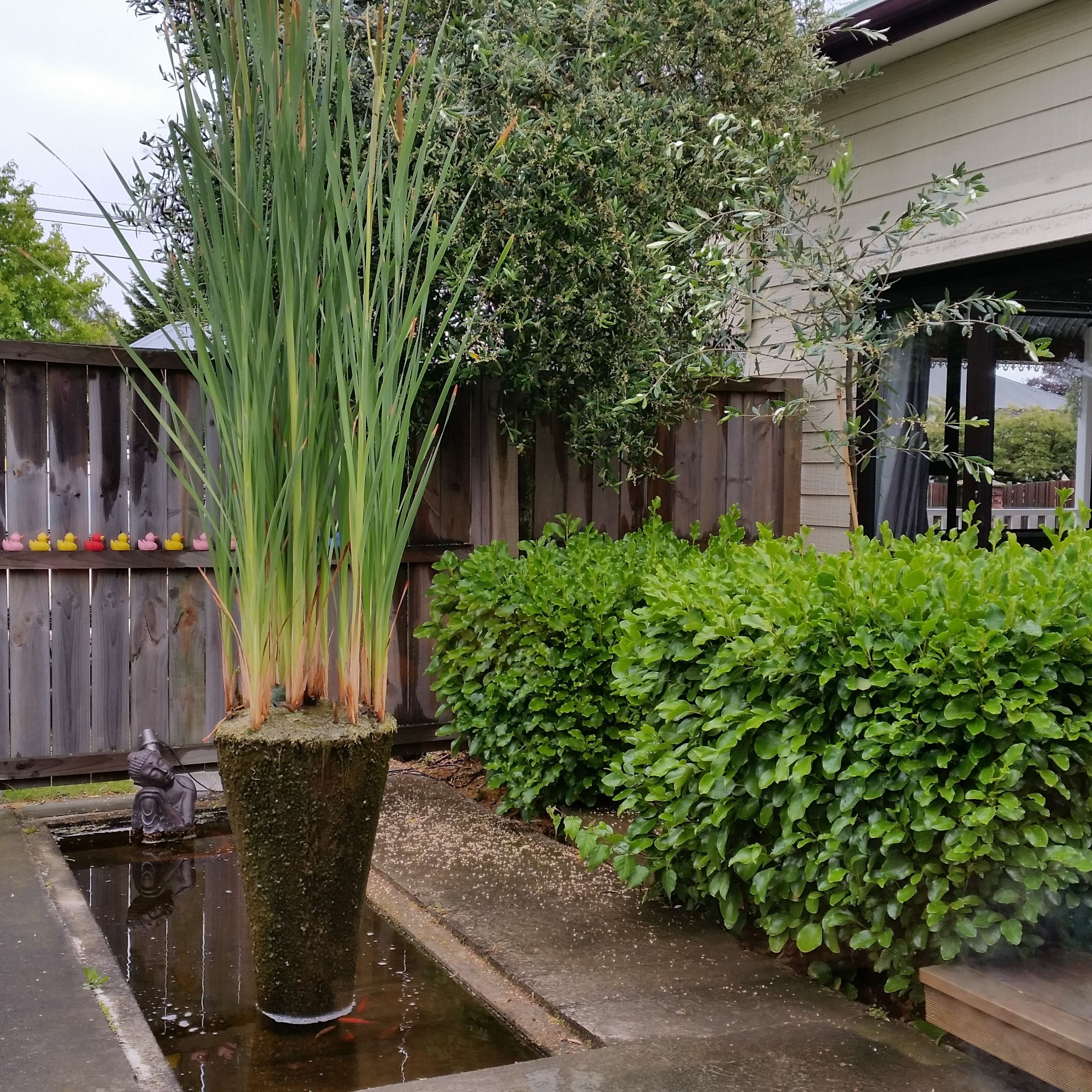 Foto - Designer Cottage