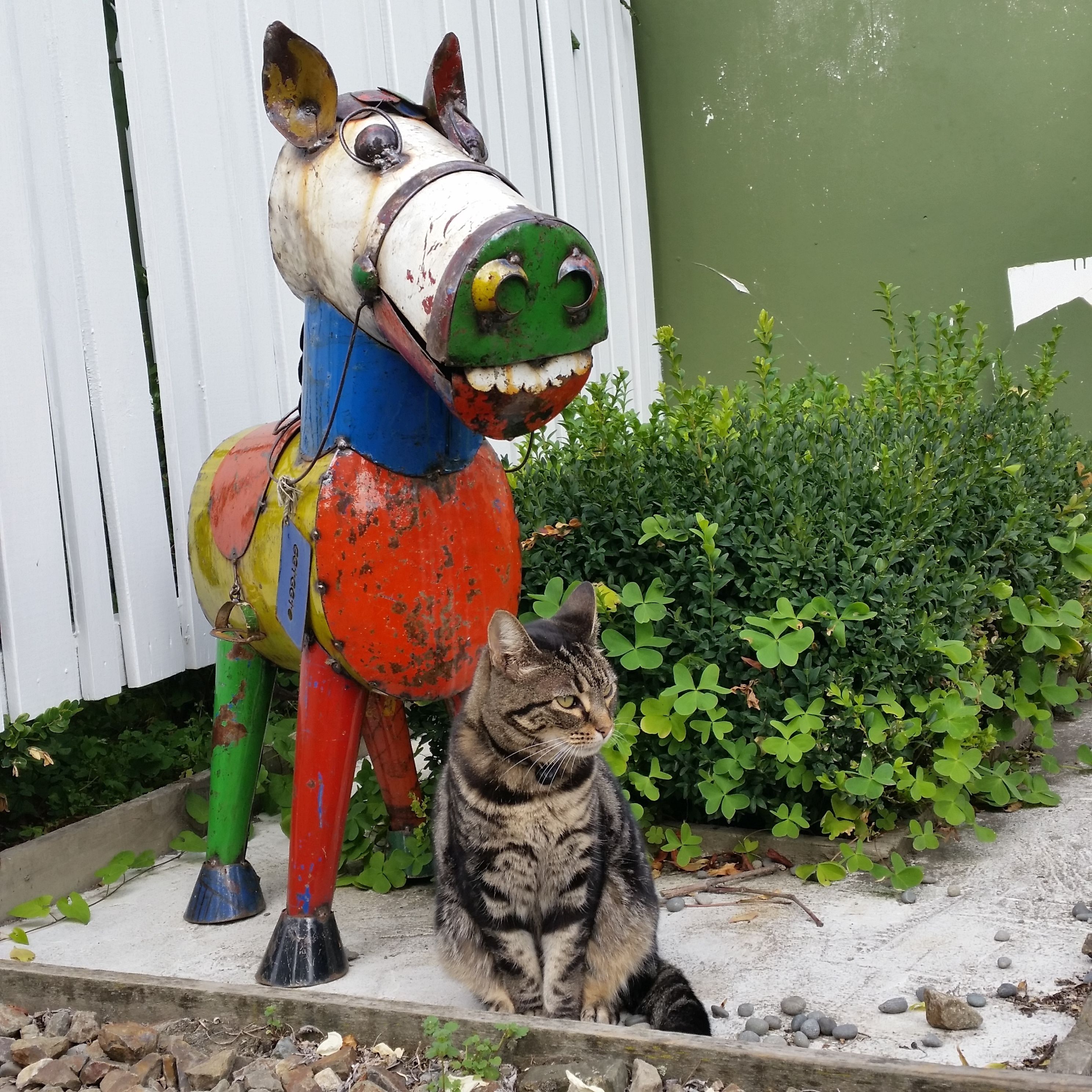 Foto - Designer Cottage