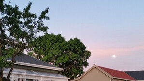 A residential area with houses, a white picket fence, and a tree. - Designer Cottage B&B (Christchurch)