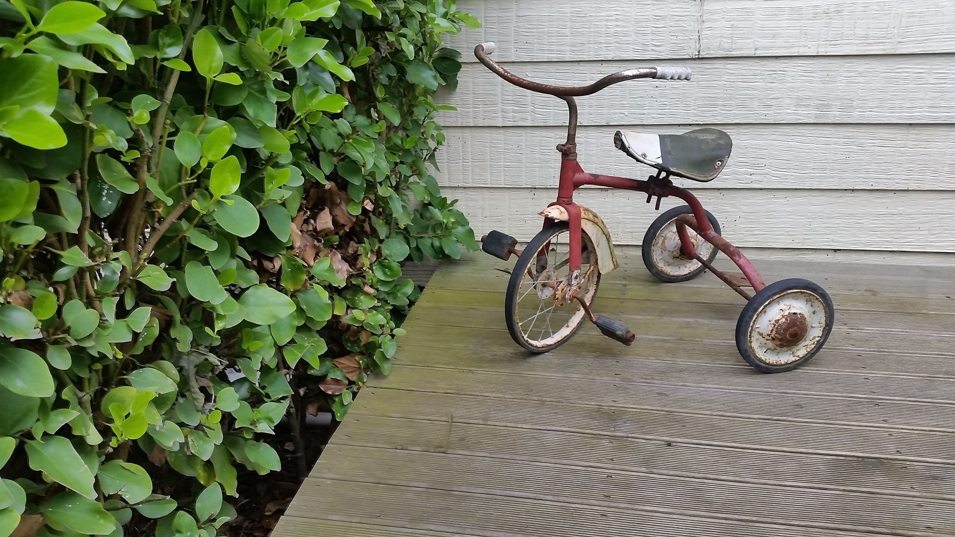 Foto - Designer Cottage