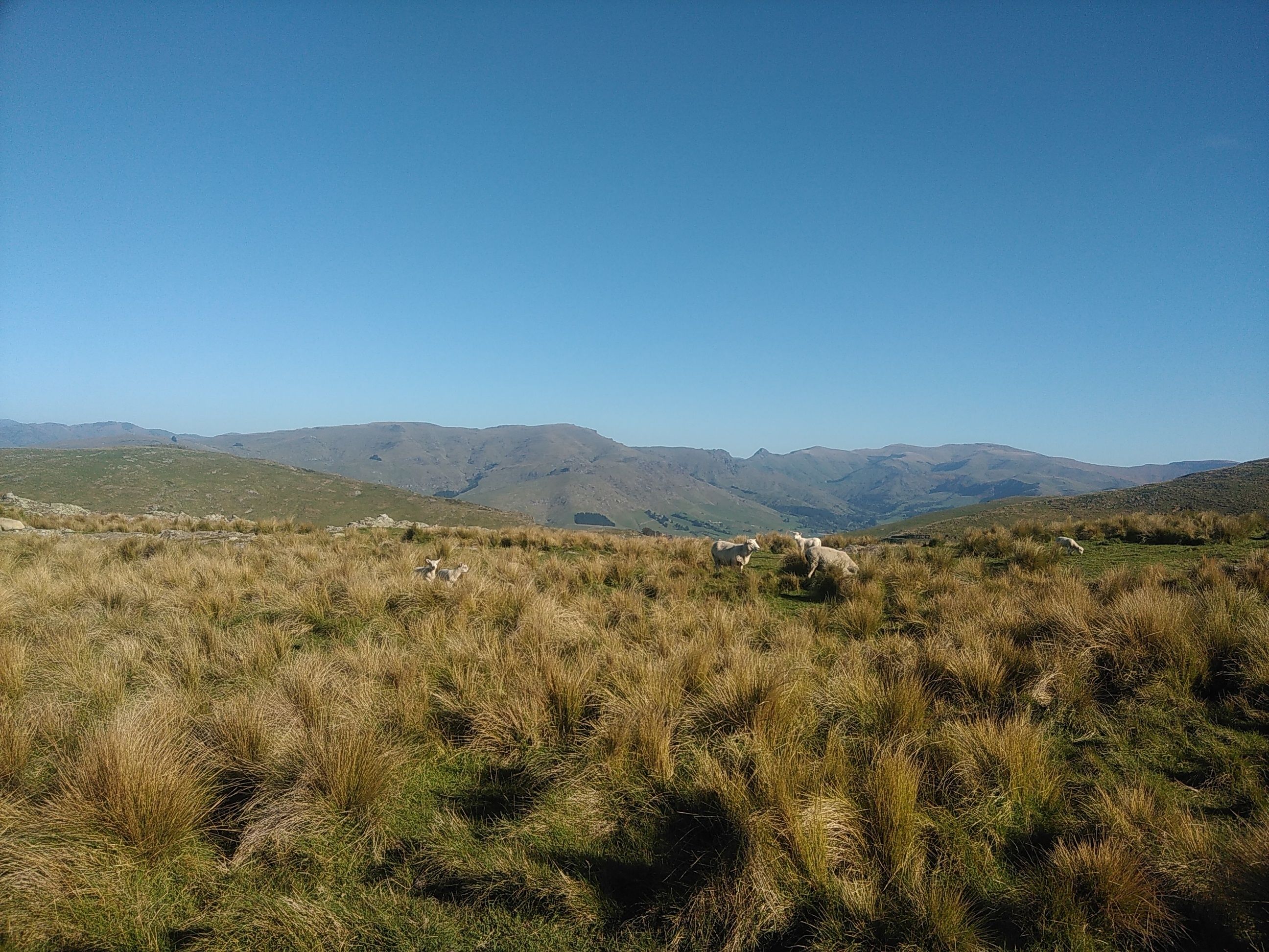 Foto - Designer Cottage