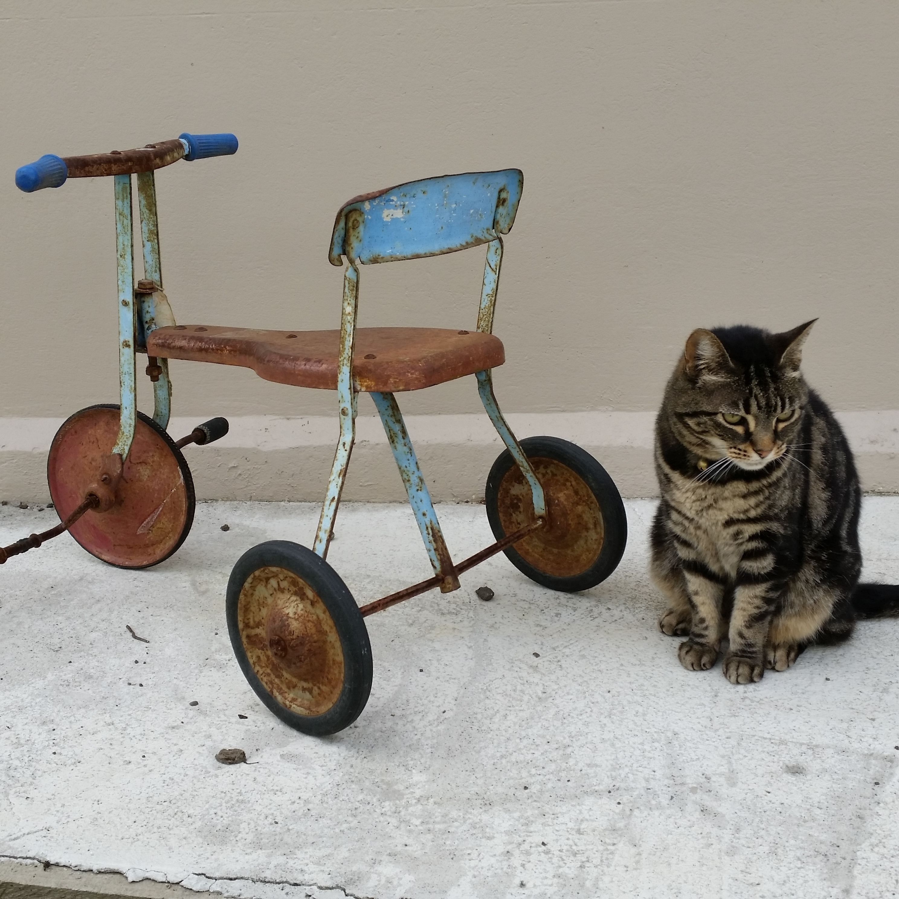 Foto - Designer Cottage