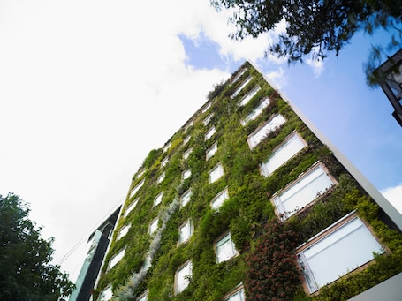 Detalle exterior. Hotel B3 Virrey