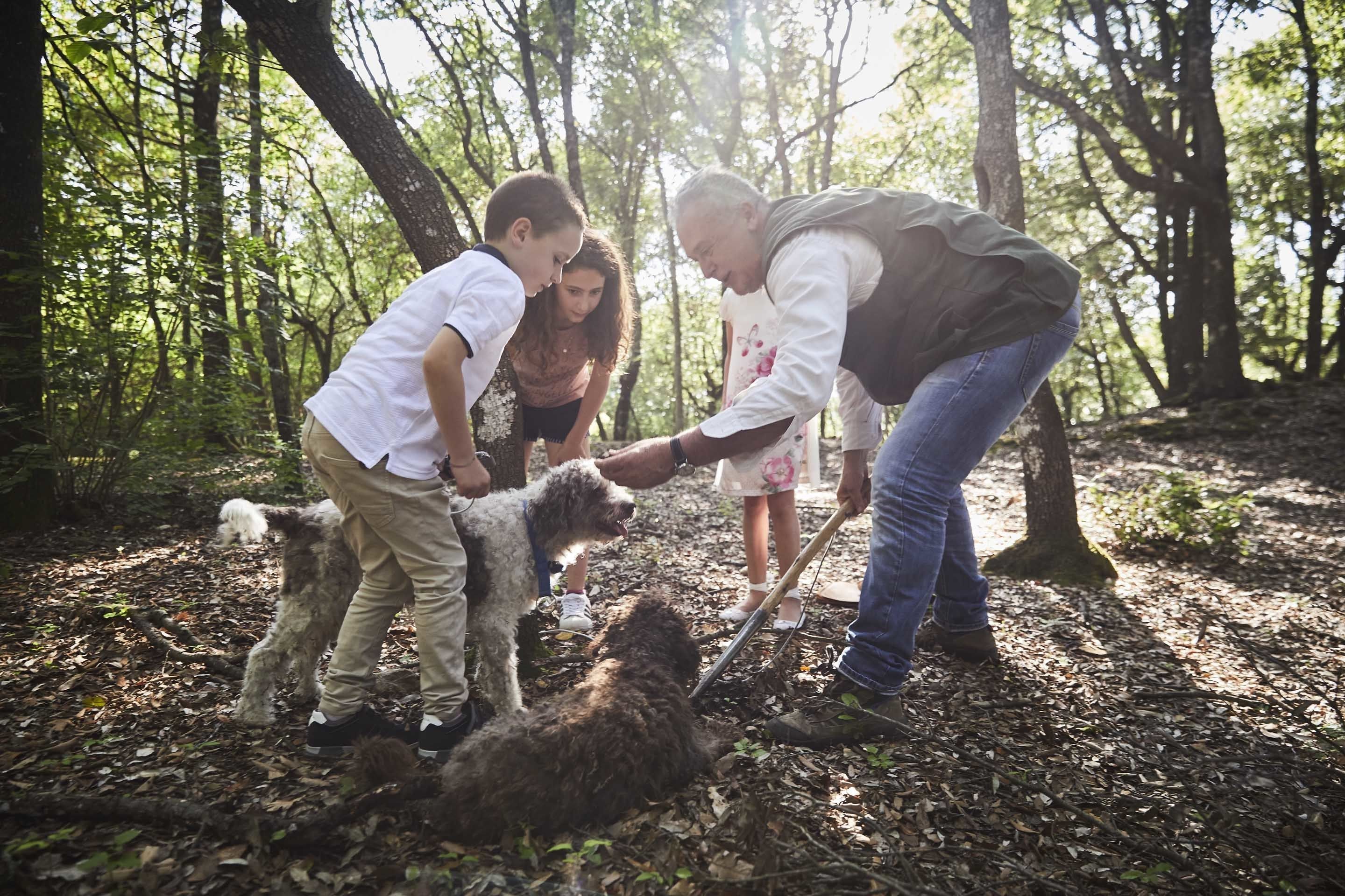 children’s activities