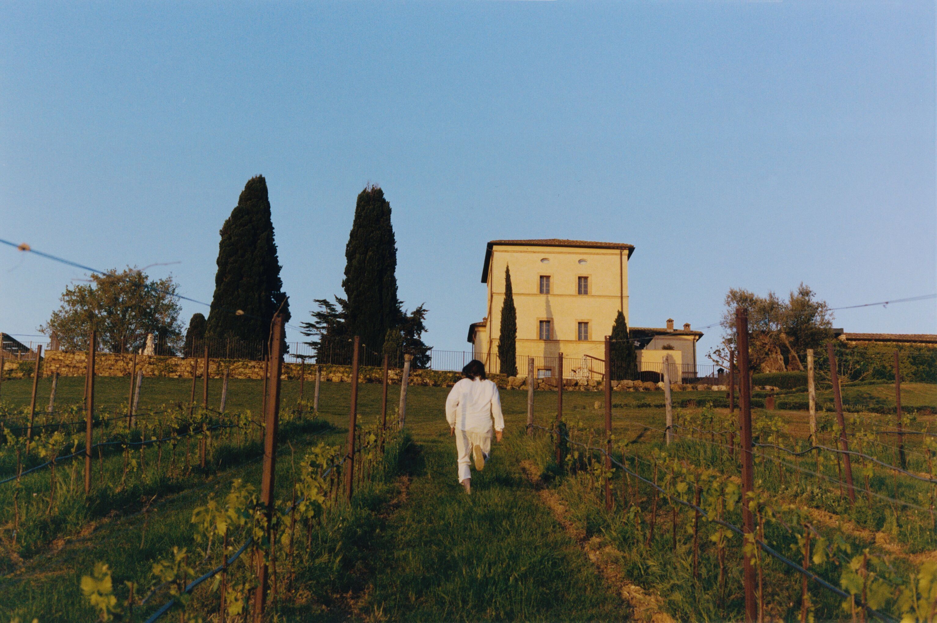 A person walking in a vineyard with a building in the background.