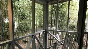 Une véranda couverte avec une chaise en bois, entourée de plantes de bambou.
