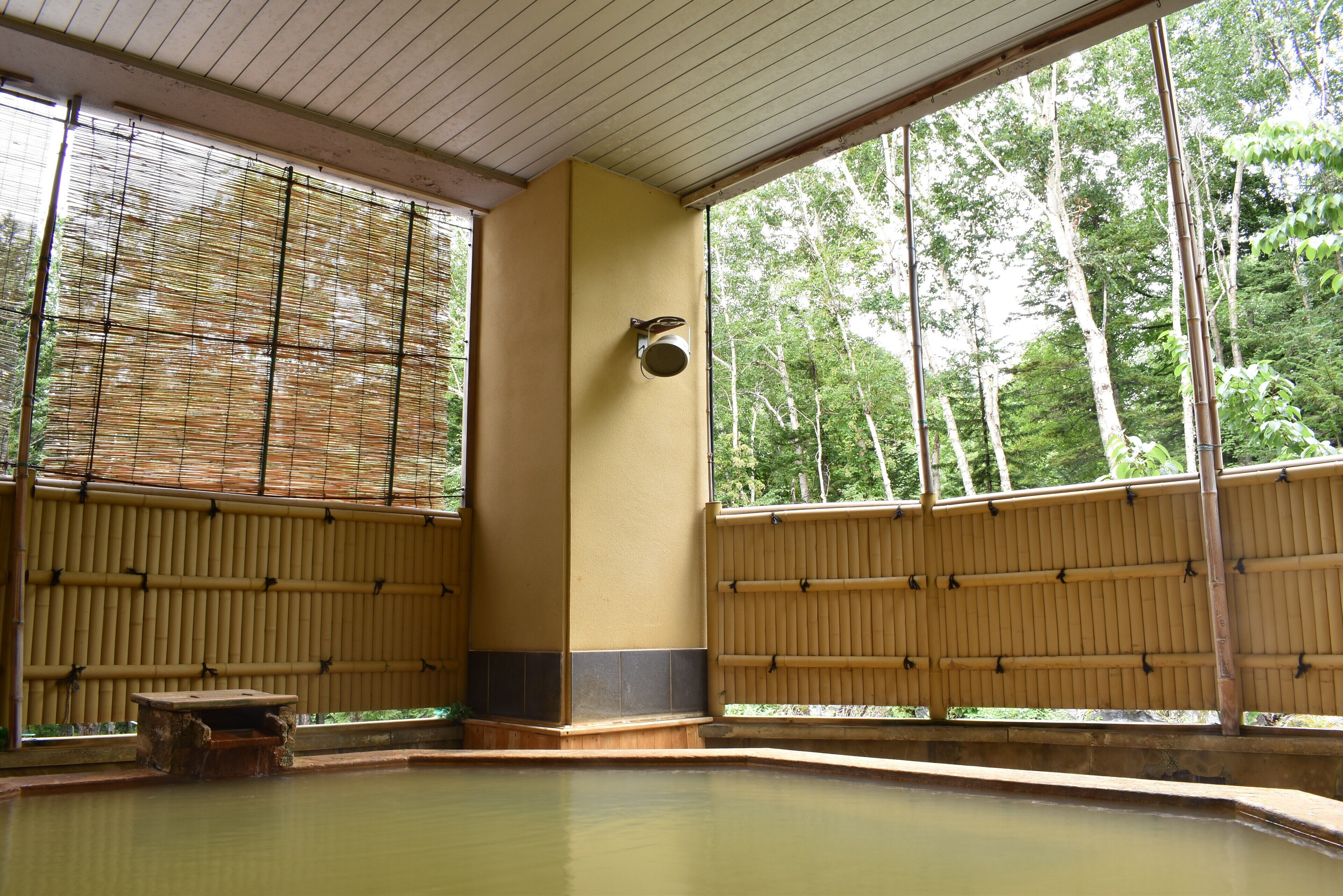 A traditional Japanese onsen with wooden walls and tatami flooring.