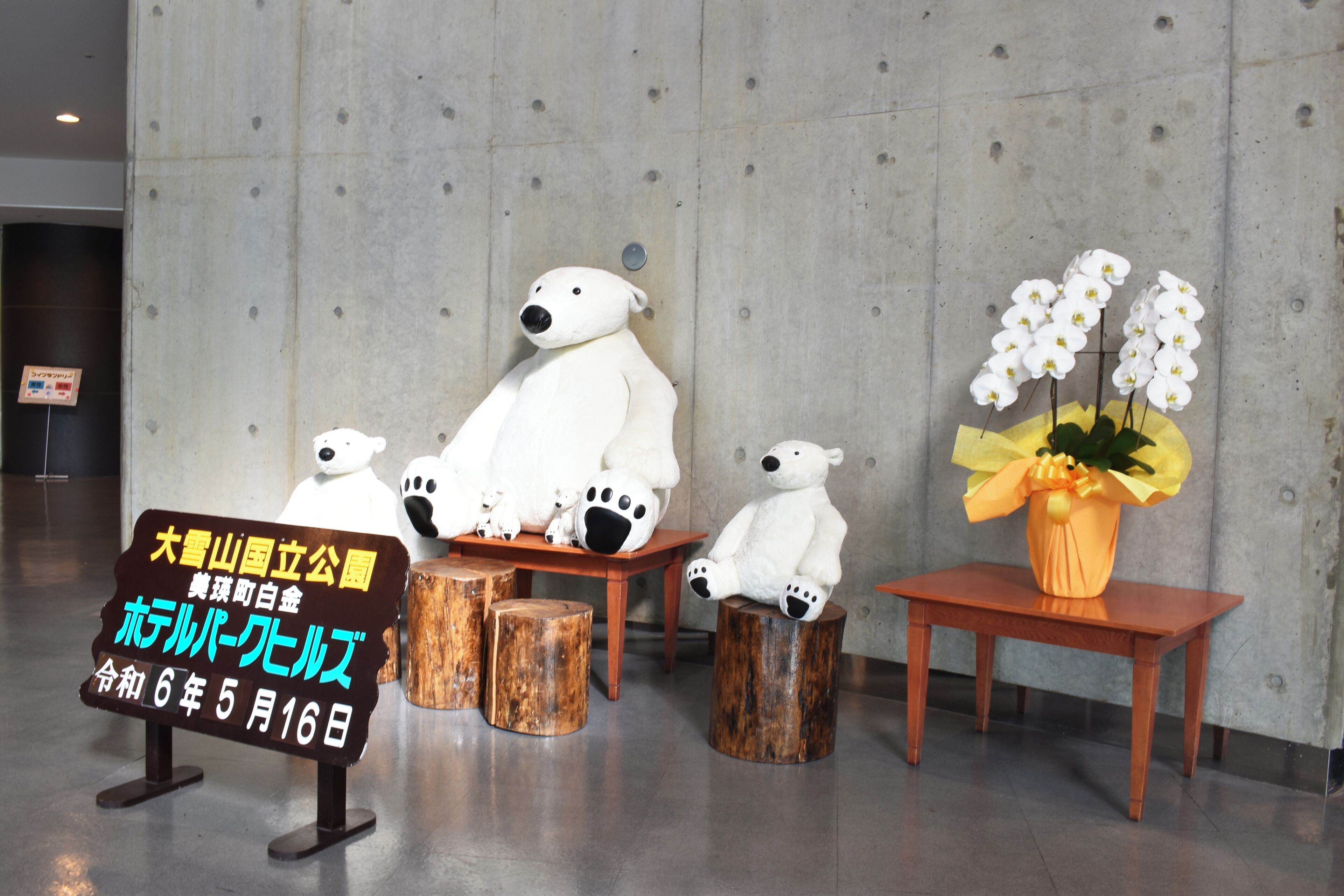 A display of white teddy bears on wooden stools and a table with a vase of white orchids.
