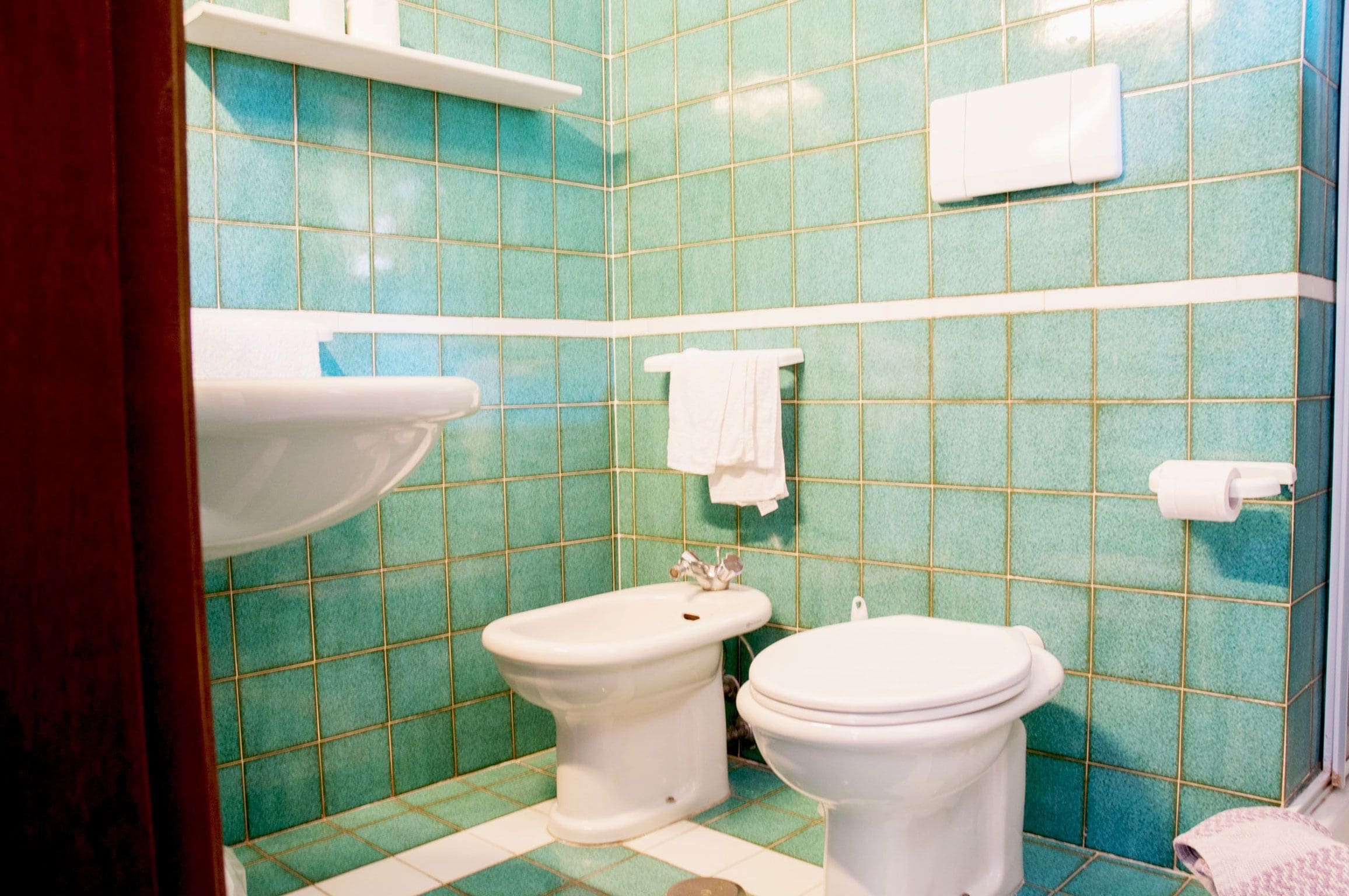 rainfall showerhead, hair dryer, bidet, towels