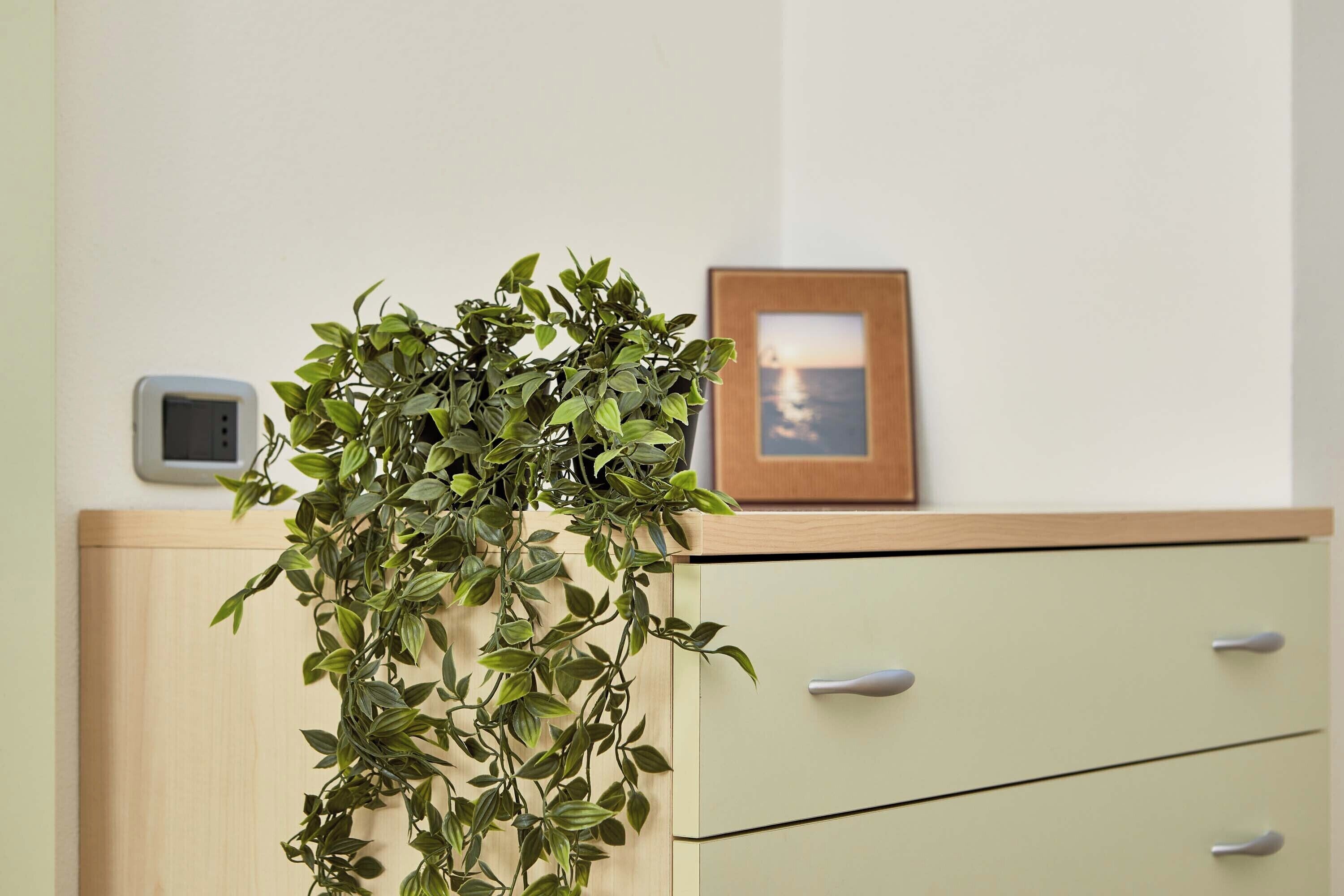 Ein Zimmer mit einem Holzkasten, einer grünen Schubladeneinheit, einem kleinen elektronischen Gerät und einem gerahmten Bild an der Wand.