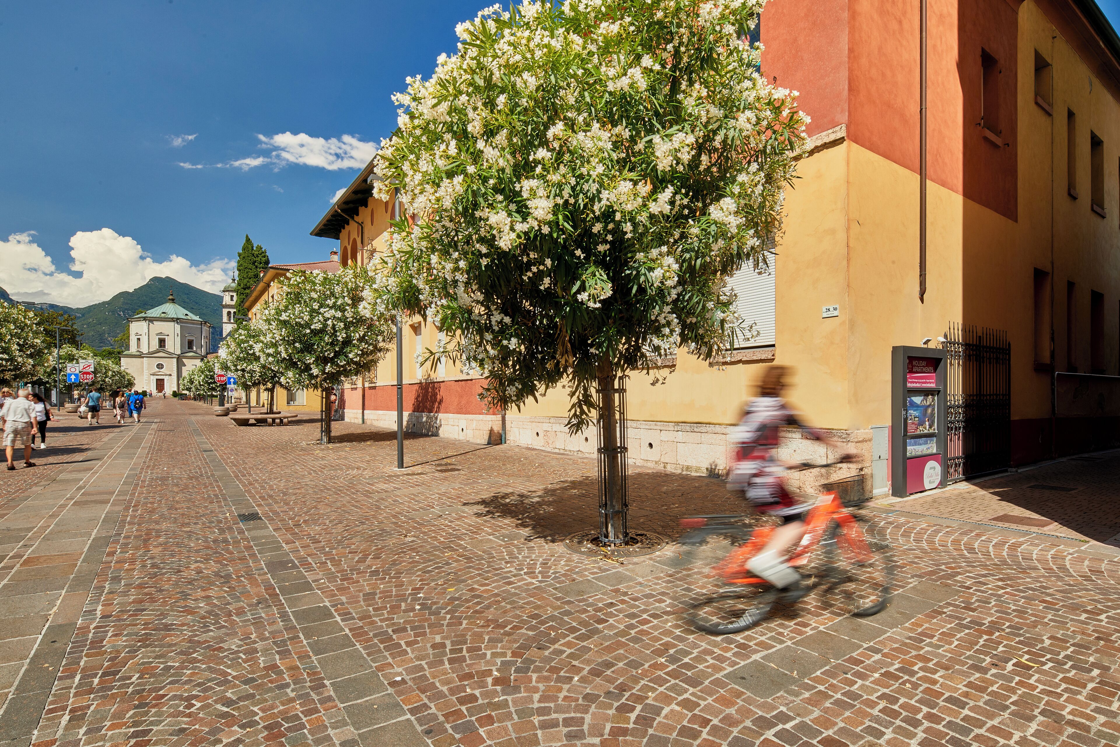 A cobblestone street with a tree in the foreground and buildings in the background.