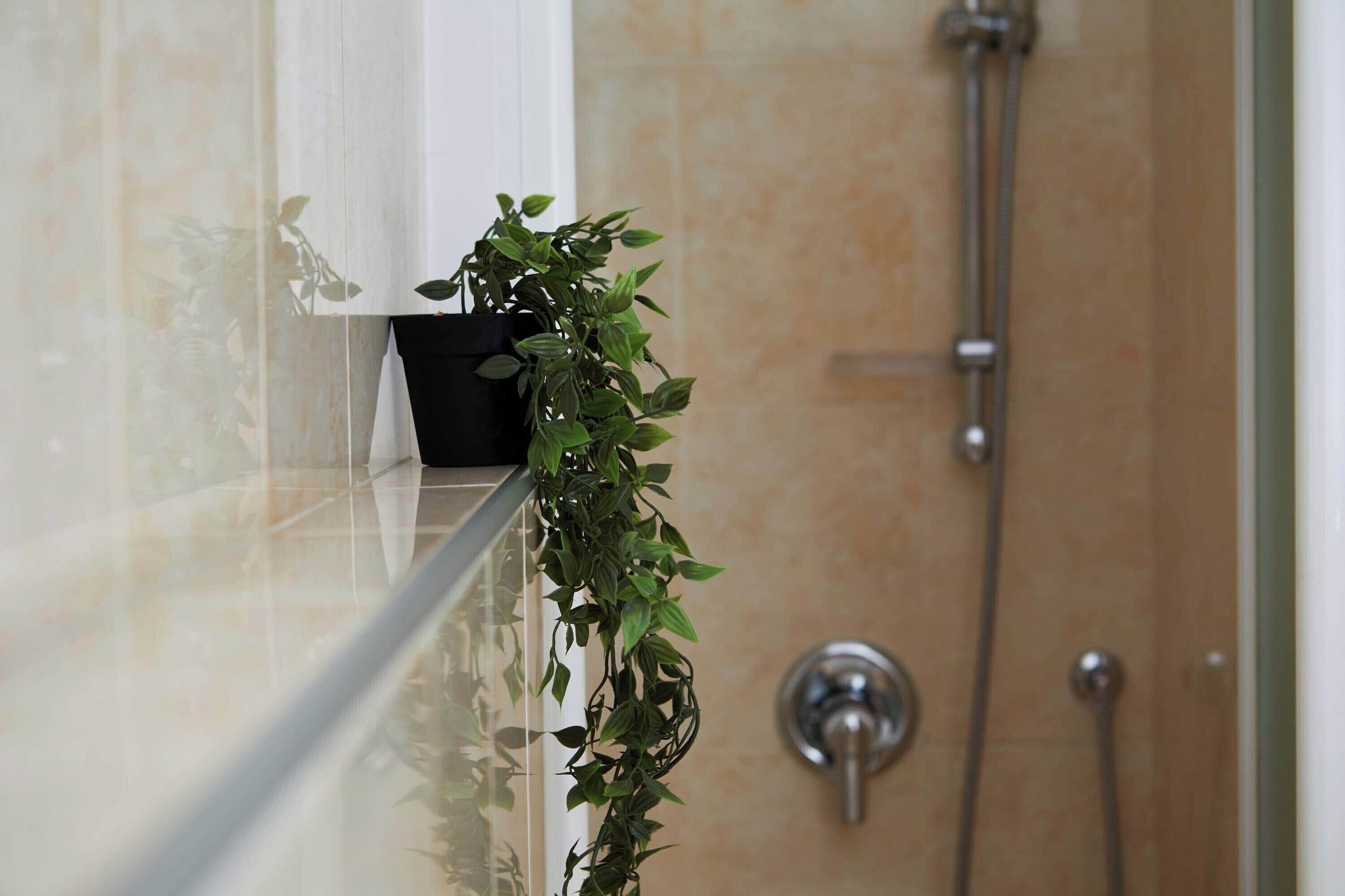Comfort-lejlighed - 1 soveværelse | Badeværelse | Bruser, hårtørrer, bidet, Sæbe