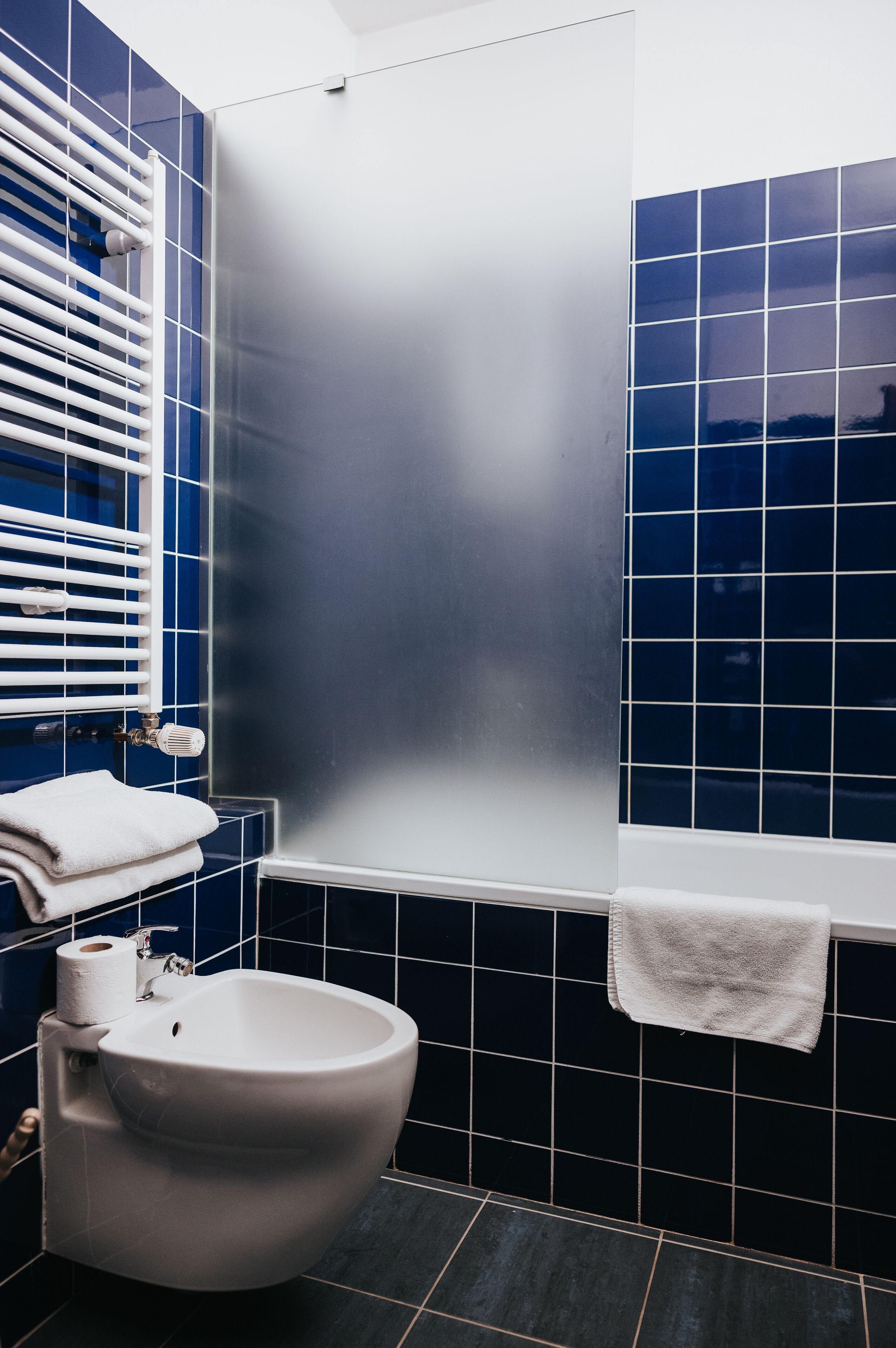 A bathroom with a white bidet, a towel rack, and a shower enclosure.