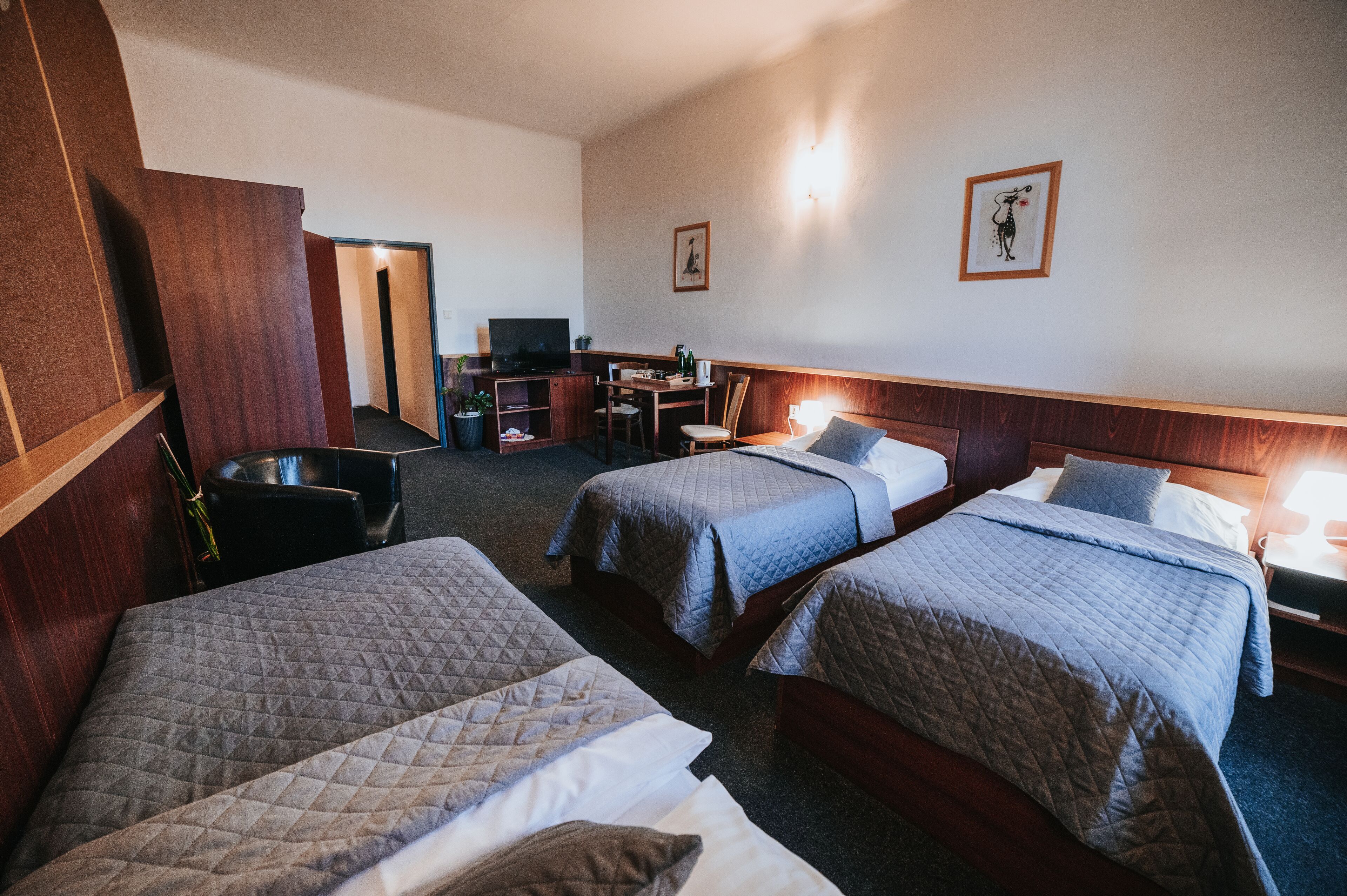Une chambre d’hôtel avec deux lits, un bureau, une chaise, une télévision et une plante en pot.