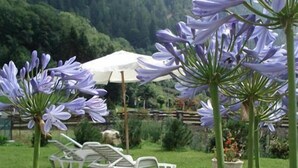 A garden with white chairs and purple flowers. - Hotel Pedretti (Branzi)