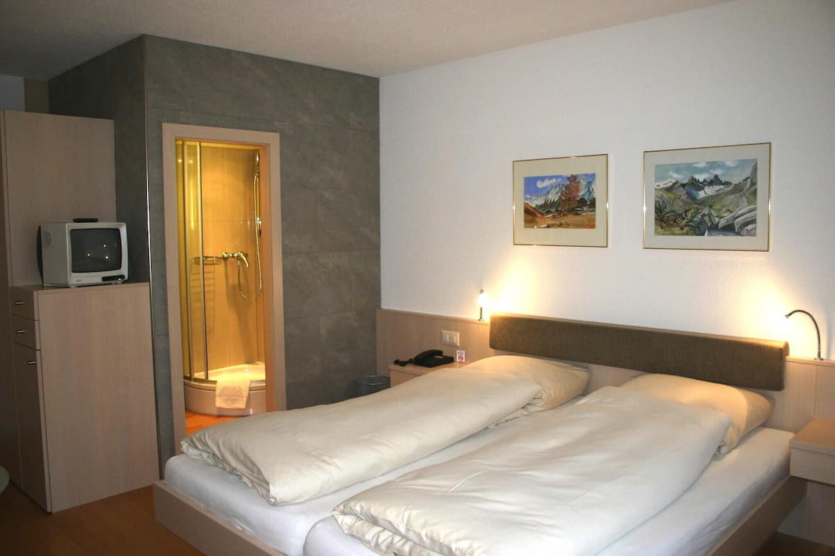 Une chambre d’hôtel avec un lit, une télévision, une douche et deux tableaux encadrés au mur.