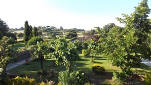 Un jardín con diversas plantas y árboles, un sendero y una vista de un paisaje lejano.