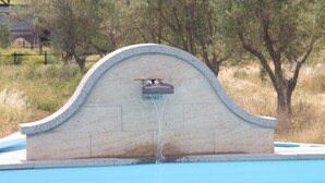 Una piscina con una fuente de piedra en el centro.
