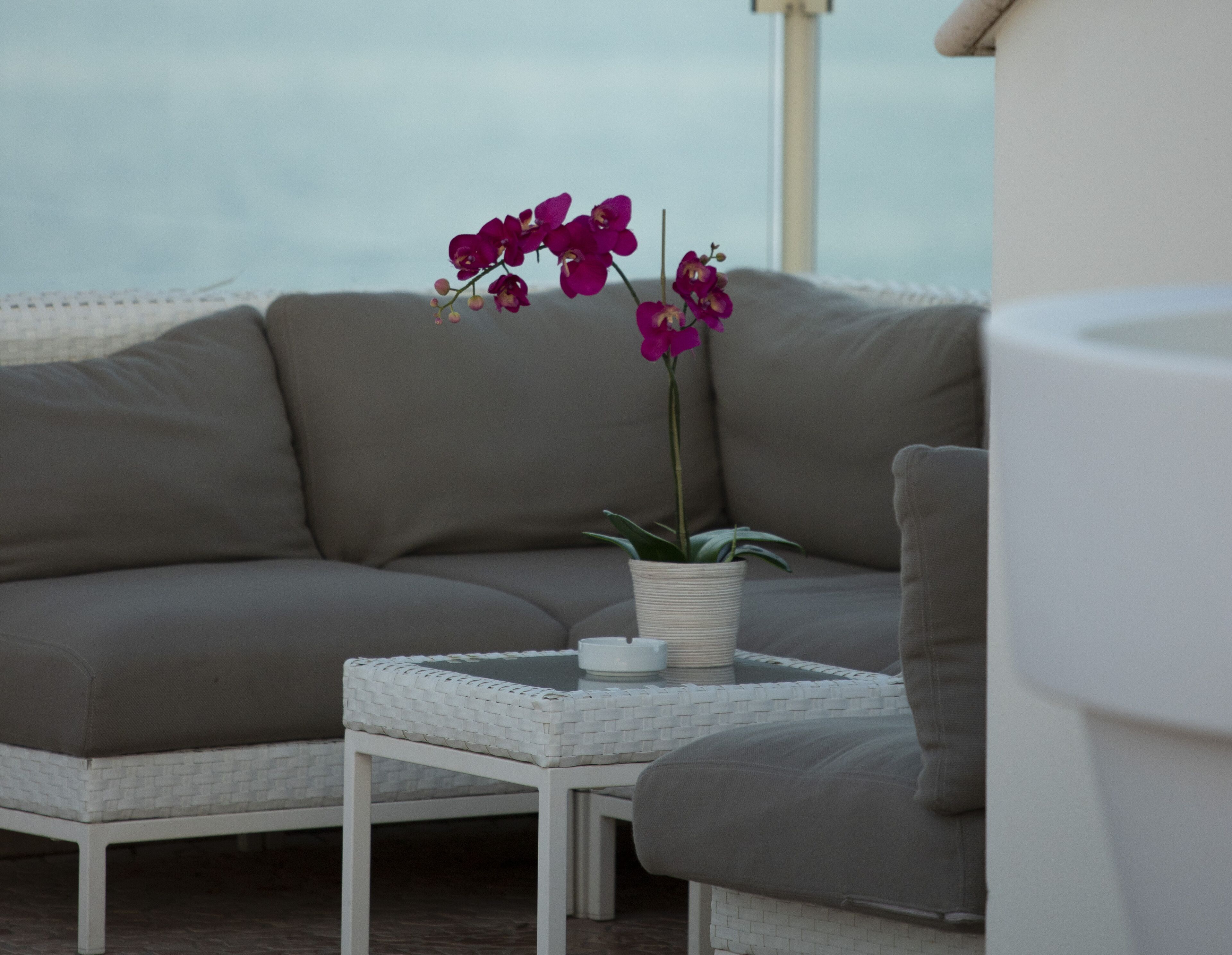 A grey sofa with a white woven table in front, a potted orchid, and a white cylindrical object on the table.