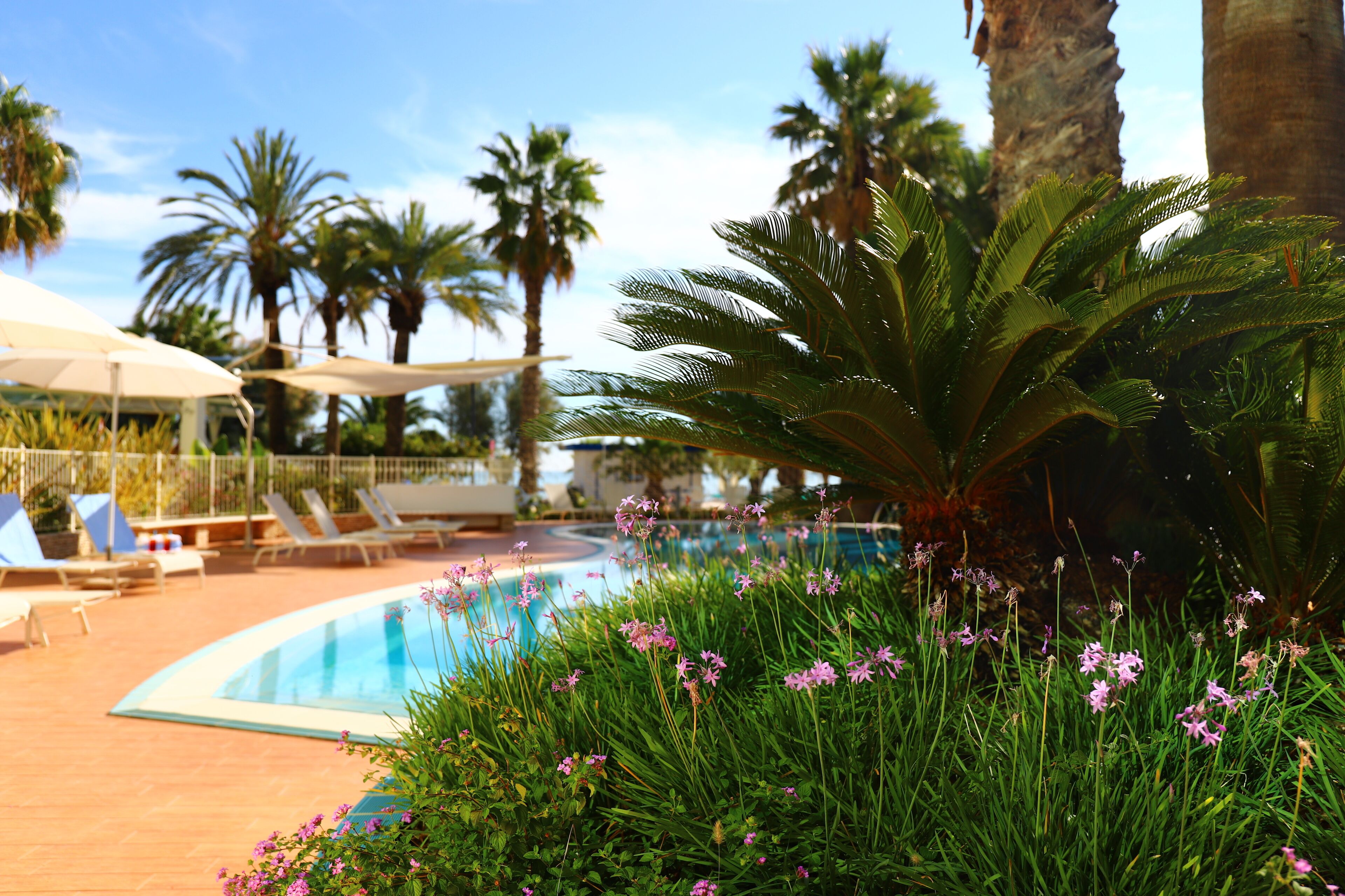 Un área de piscina con sillones de descanso y sombrillas, rodeada de palmeras y plantas con flores.