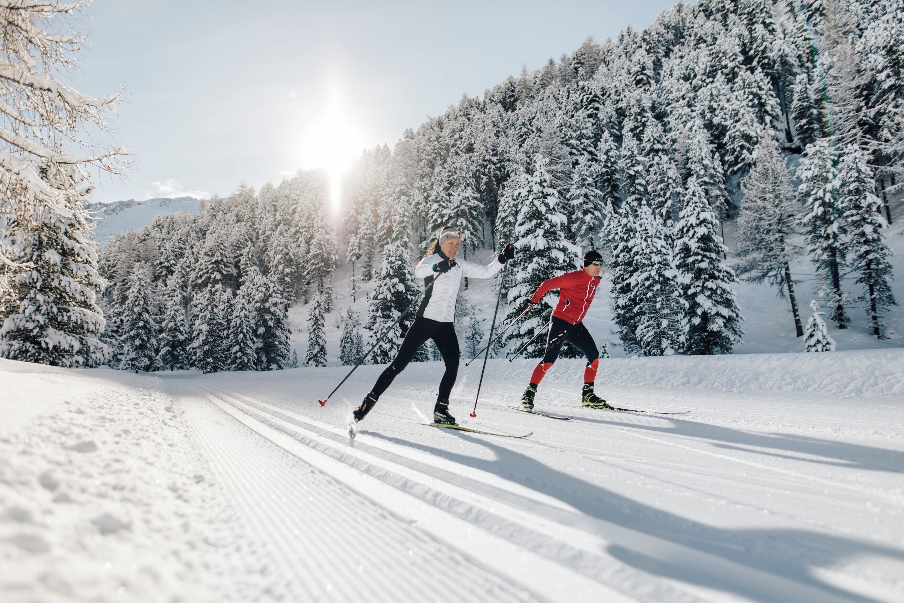 Two skiers on a snowy trail with trees and mountains in the background.