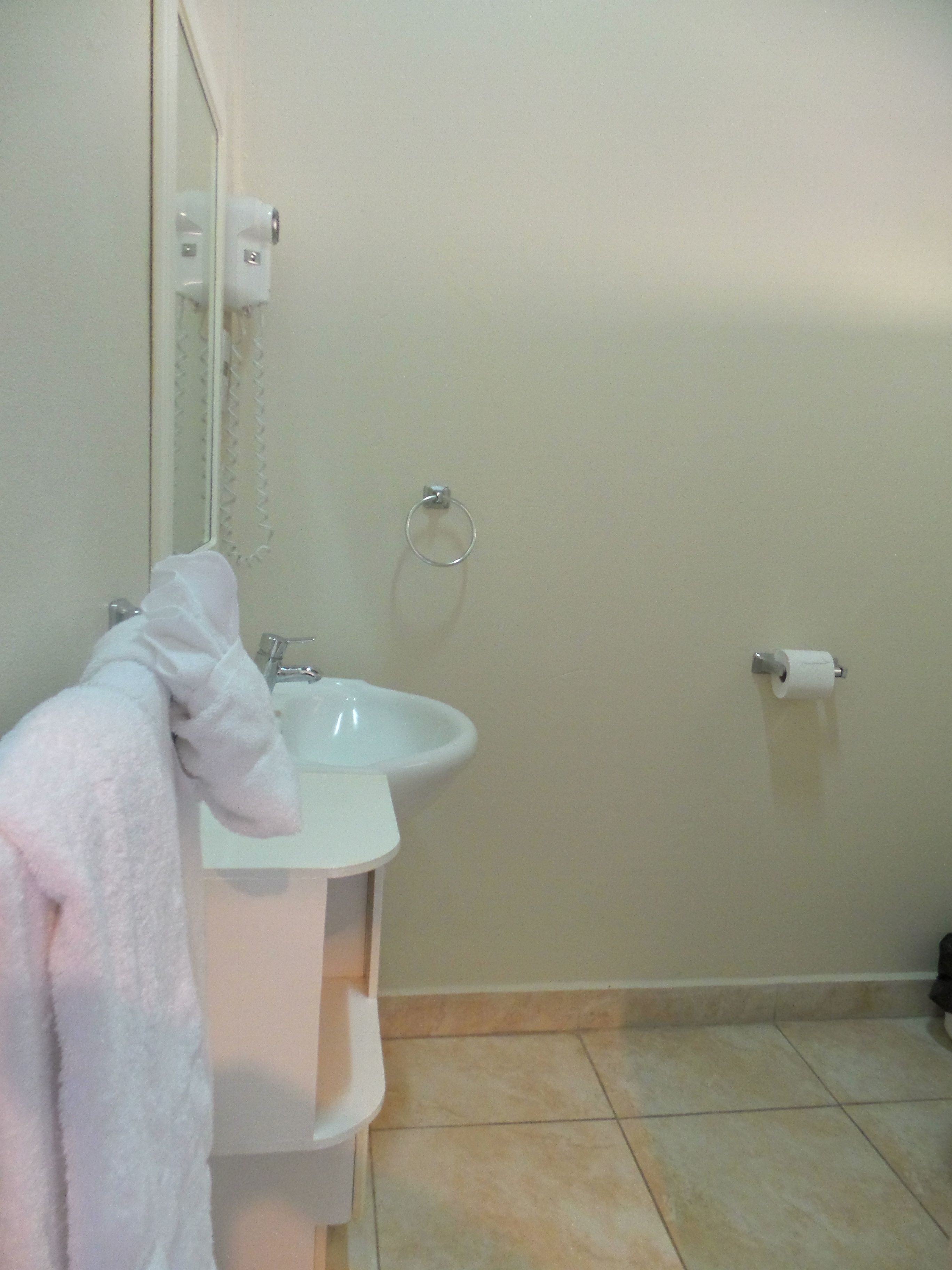 A bathroom with a sink, mirror, towel, toilet paper, and a towel rack.